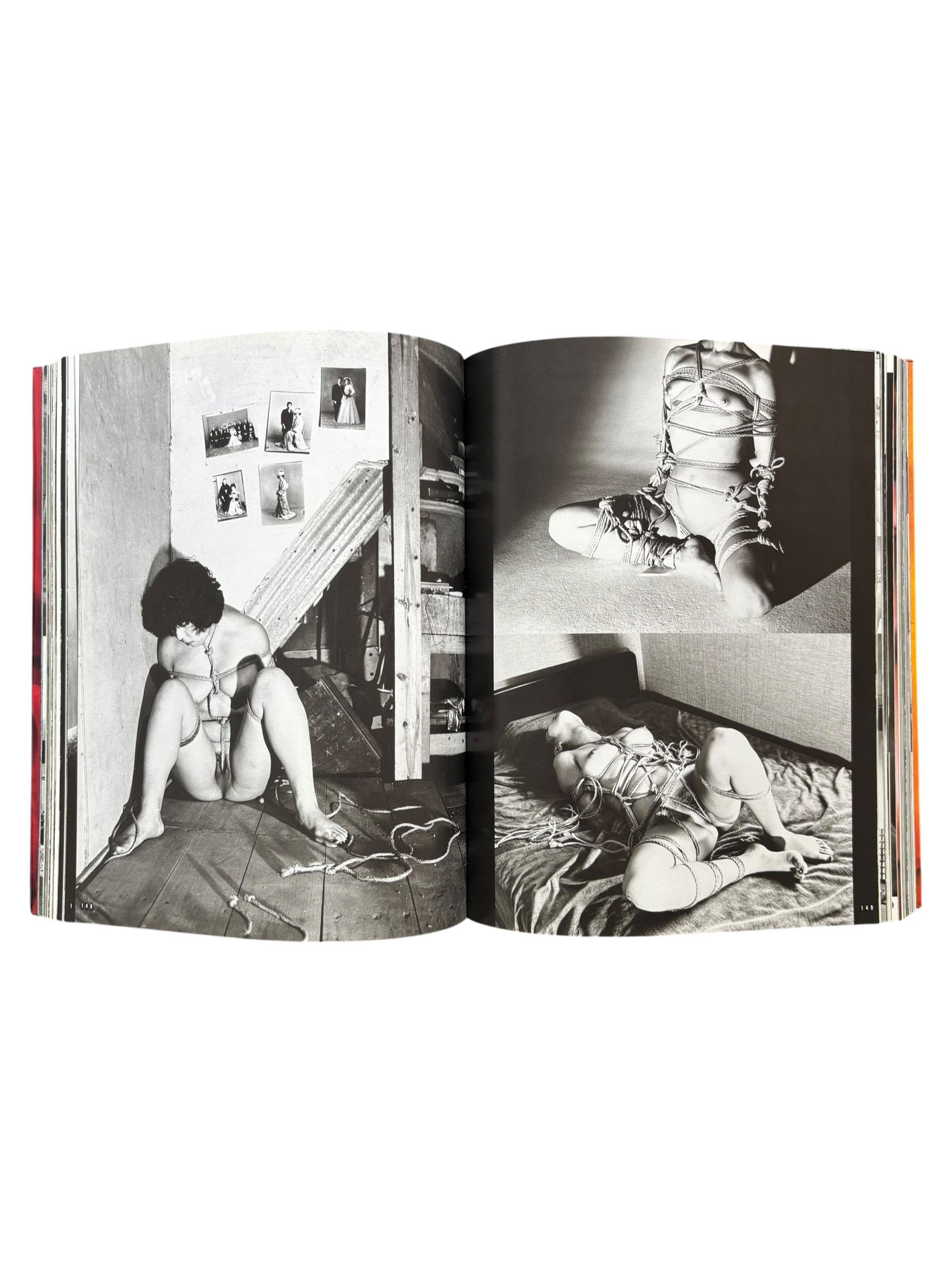 Araki by Araki (2002)