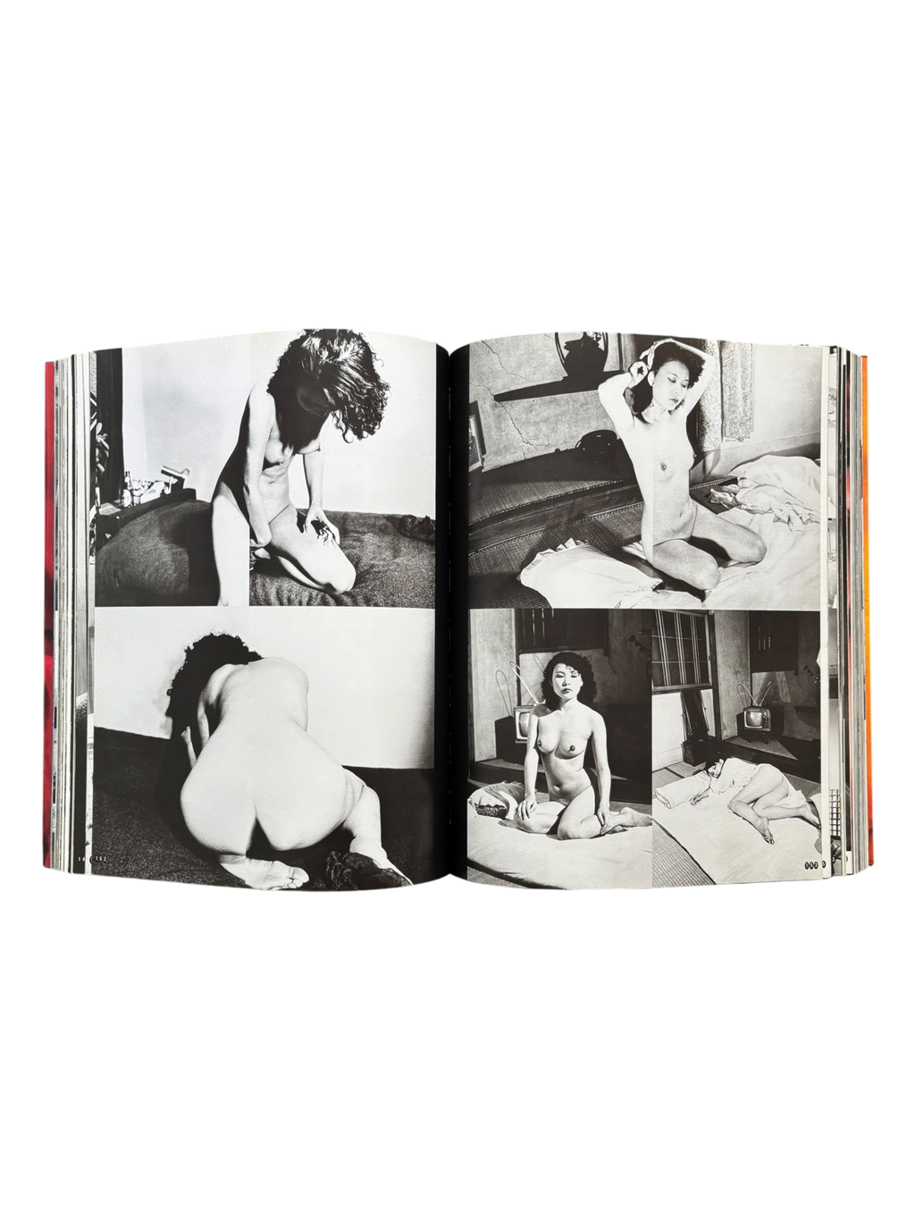 Araki by Araki (2002)