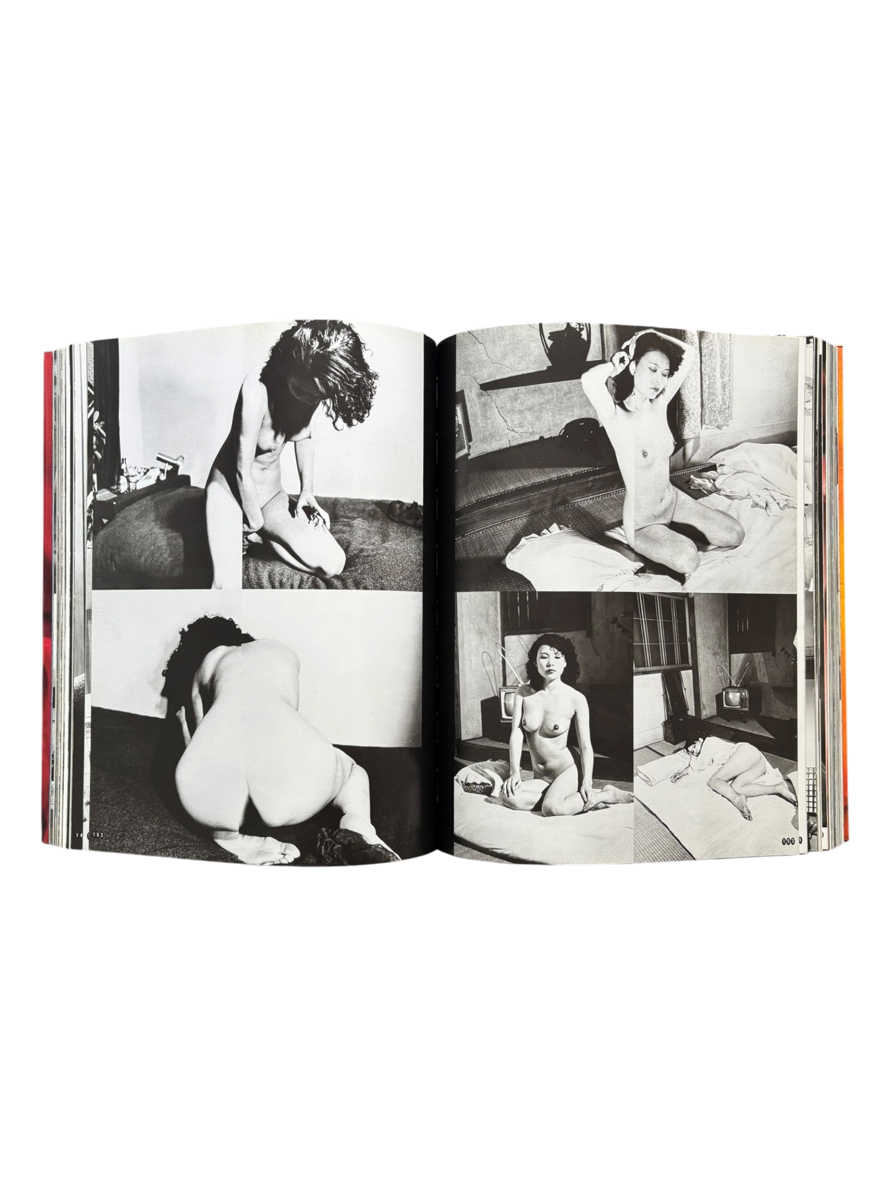 Araki by Araki (2002)