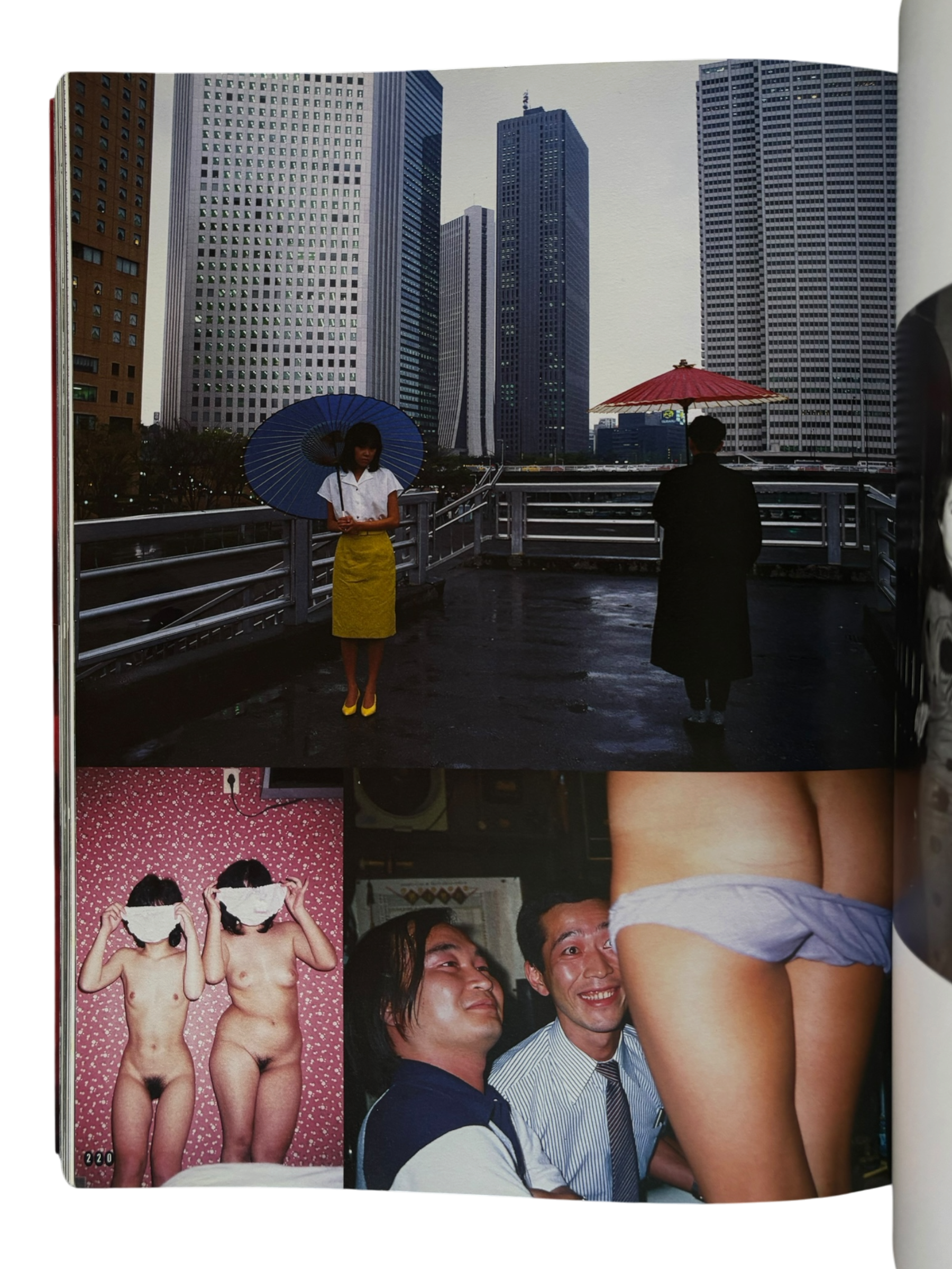 Araki by Araki (2002)