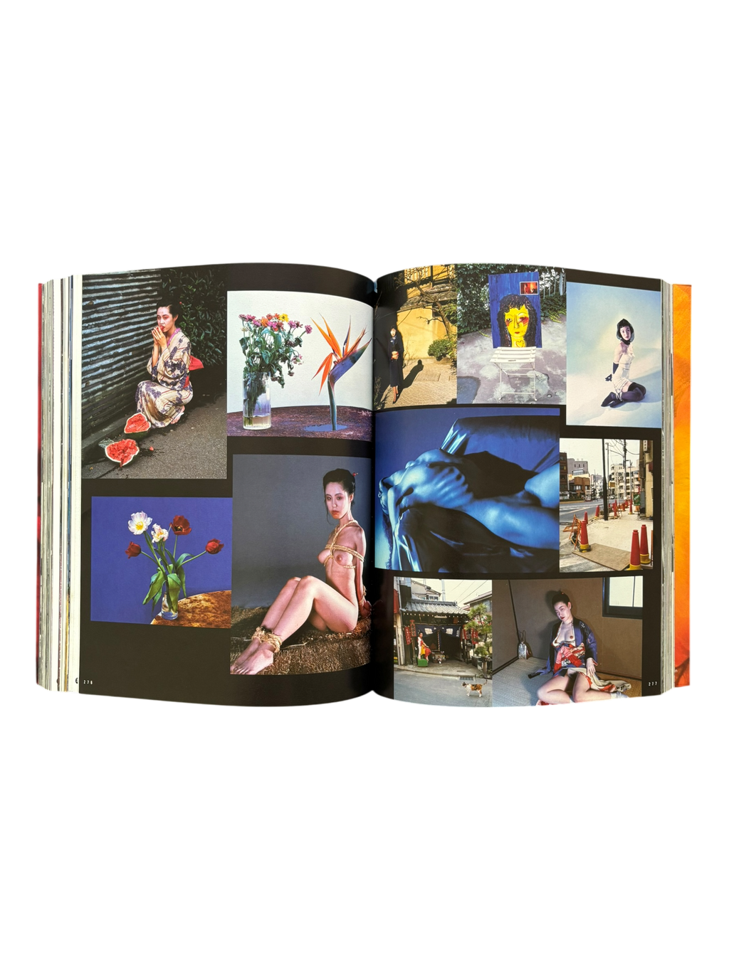 Araki by Araki (2002)