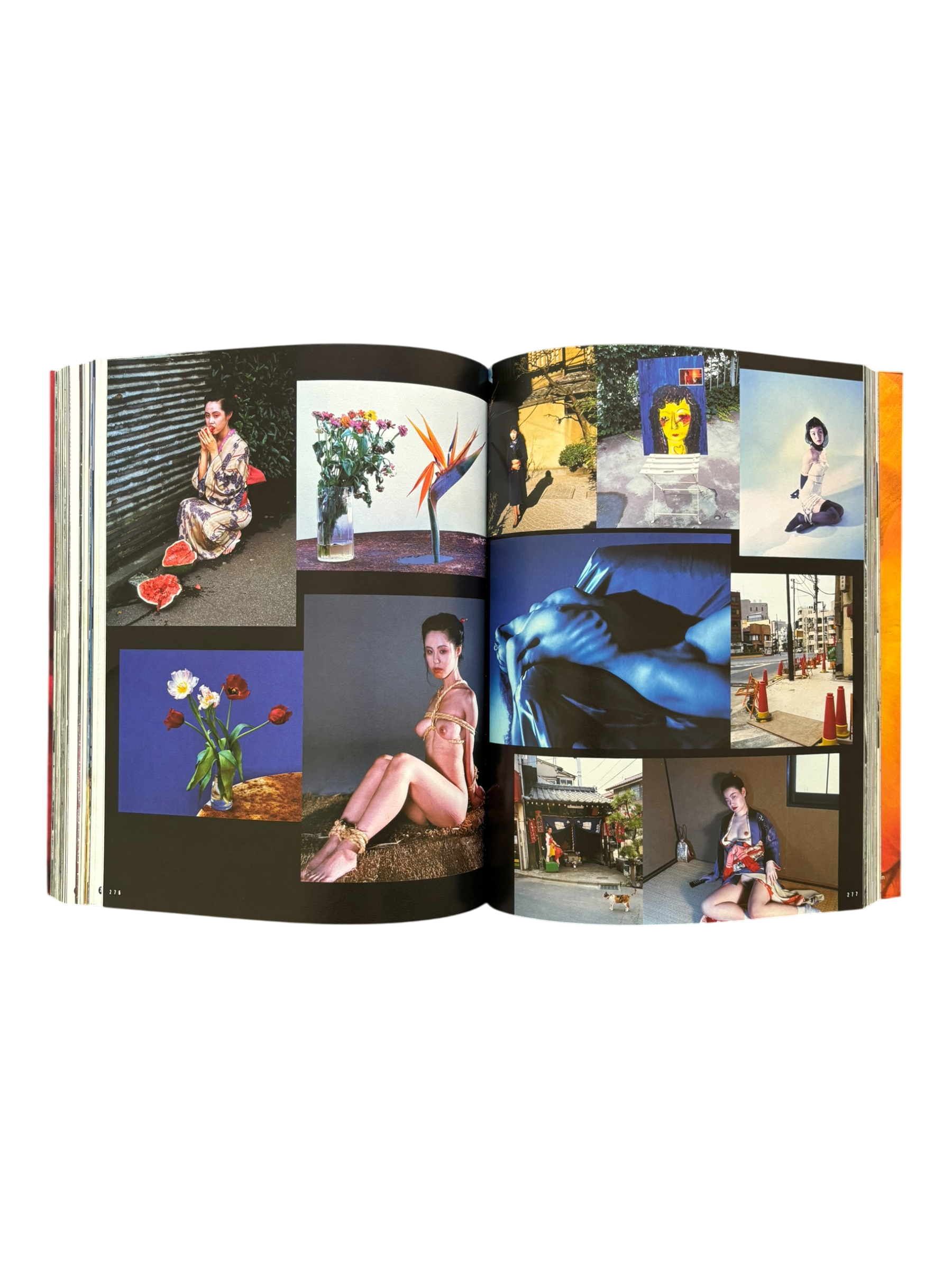 Araki by Araki (2002)