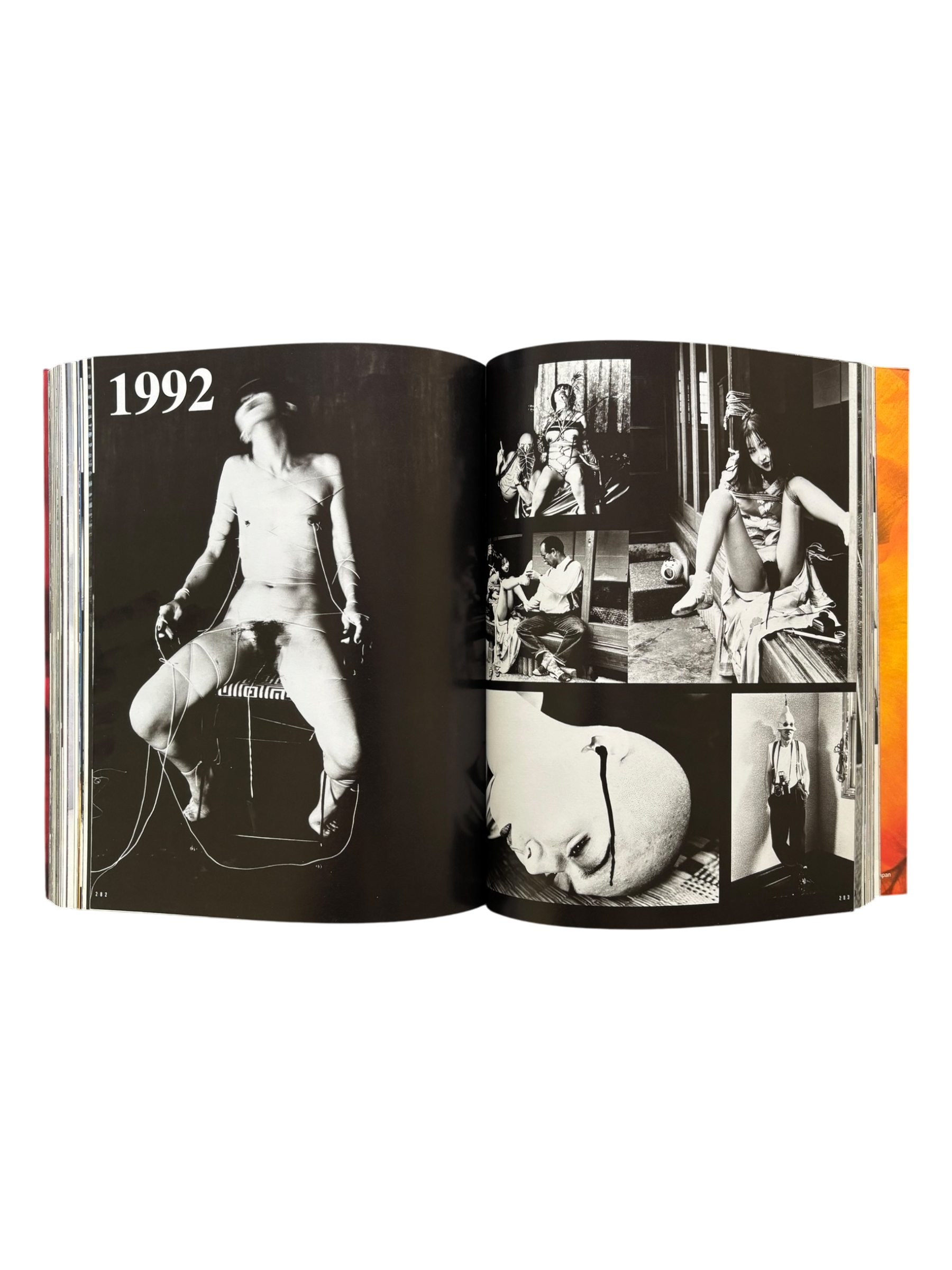 Araki by Araki (2002)