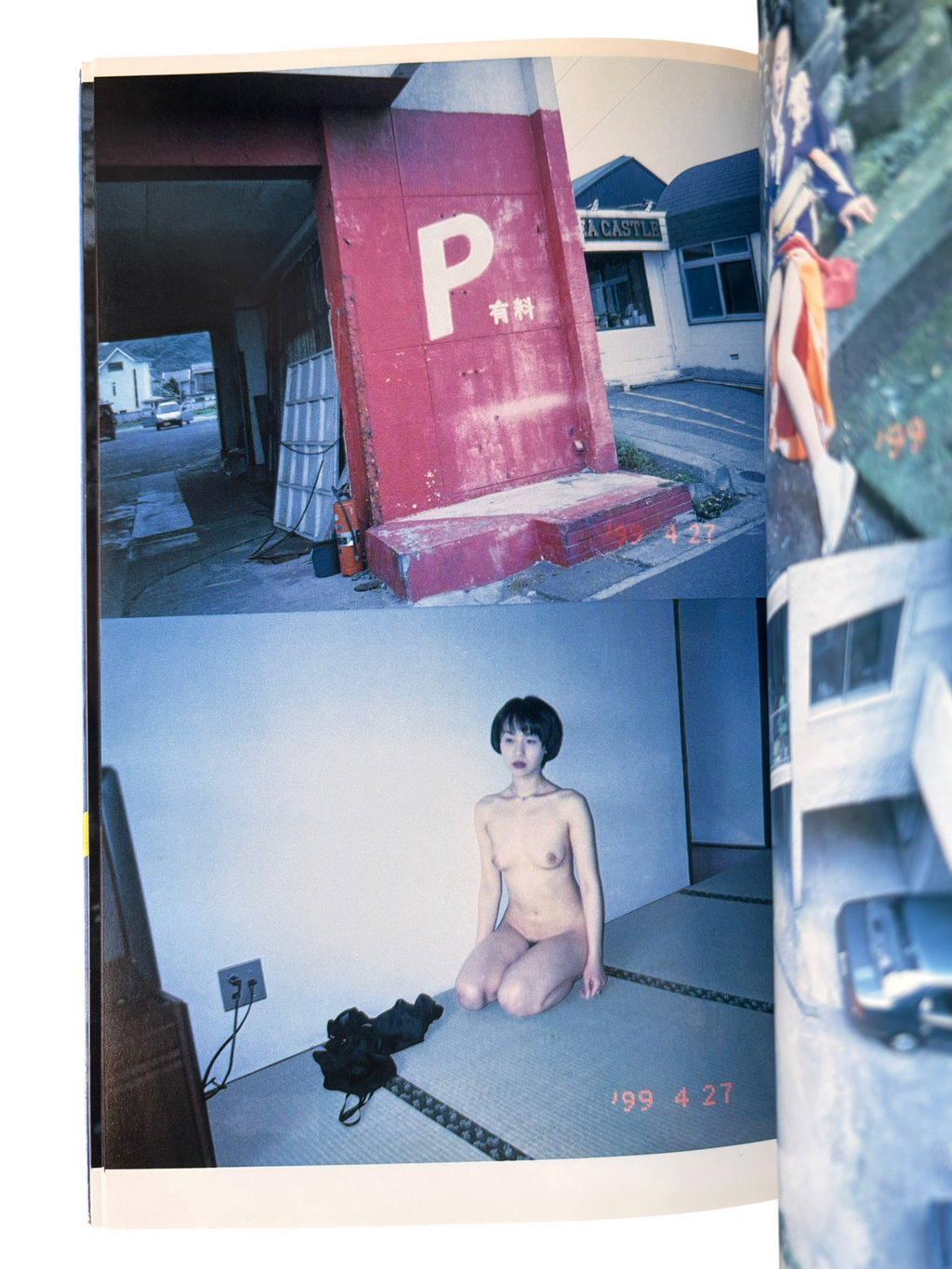 The Works of Nobuyoshi Araki 9: Private Dairy 1999 (1996)