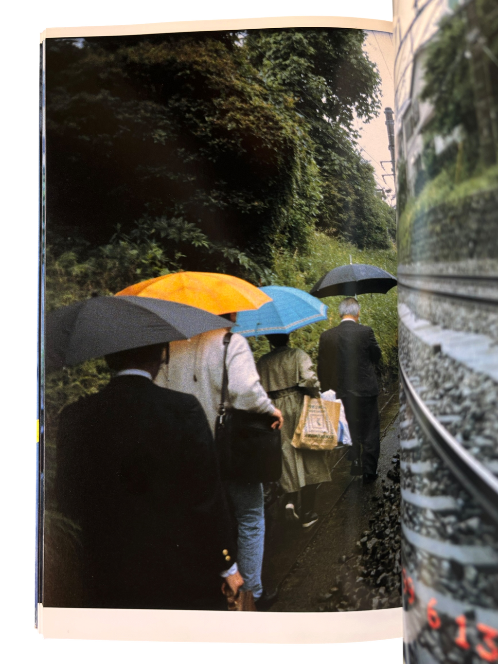 The Works of Nobuyoshi Araki 9: Private Dairy 1999 (1996)