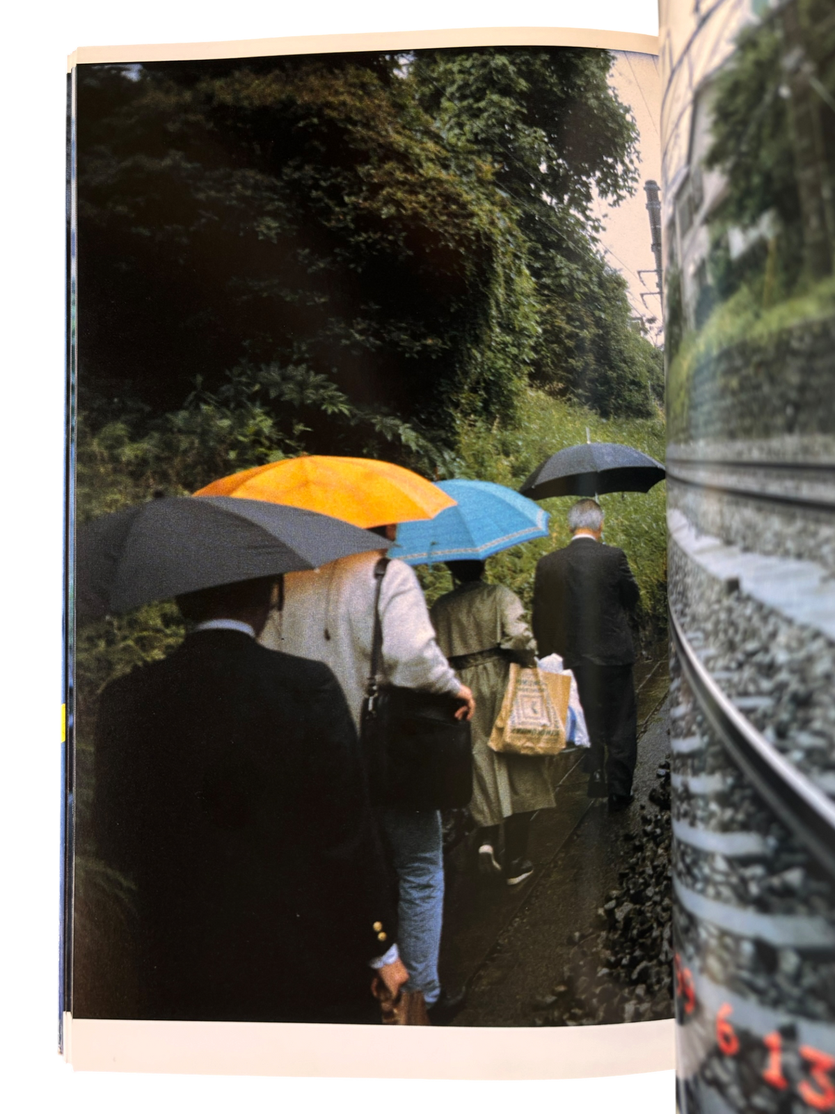 The Works of Nobuyoshi Araki 9: Private Dairy 1999 (1996)