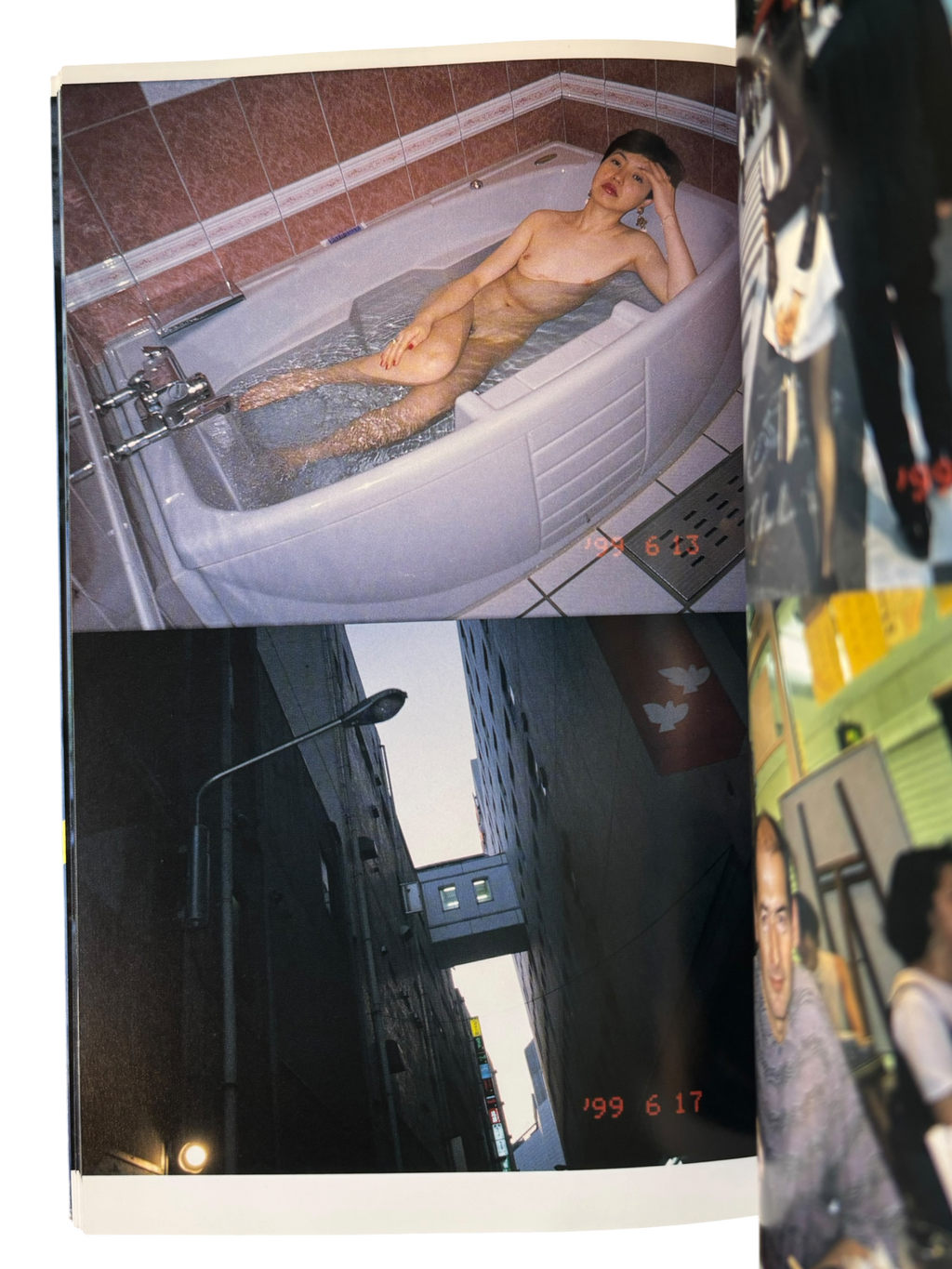 The Works of Nobuyoshi Araki 9: Private Dairy 1999 (1996)
