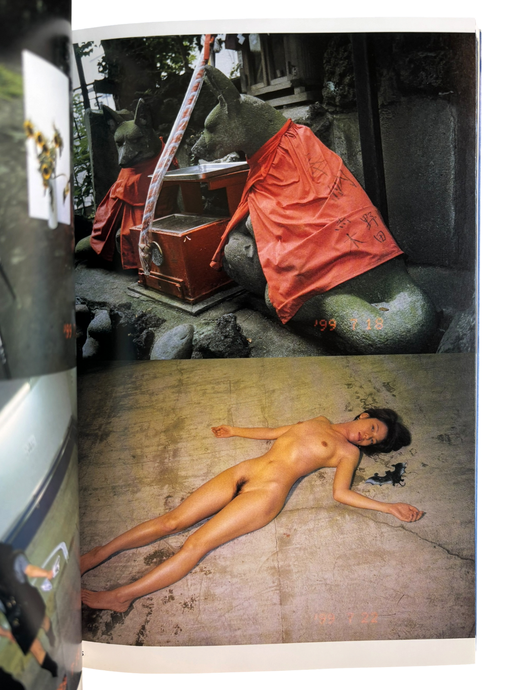 The Works of Nobuyoshi Araki 9: Private Dairy 1999 (1996)