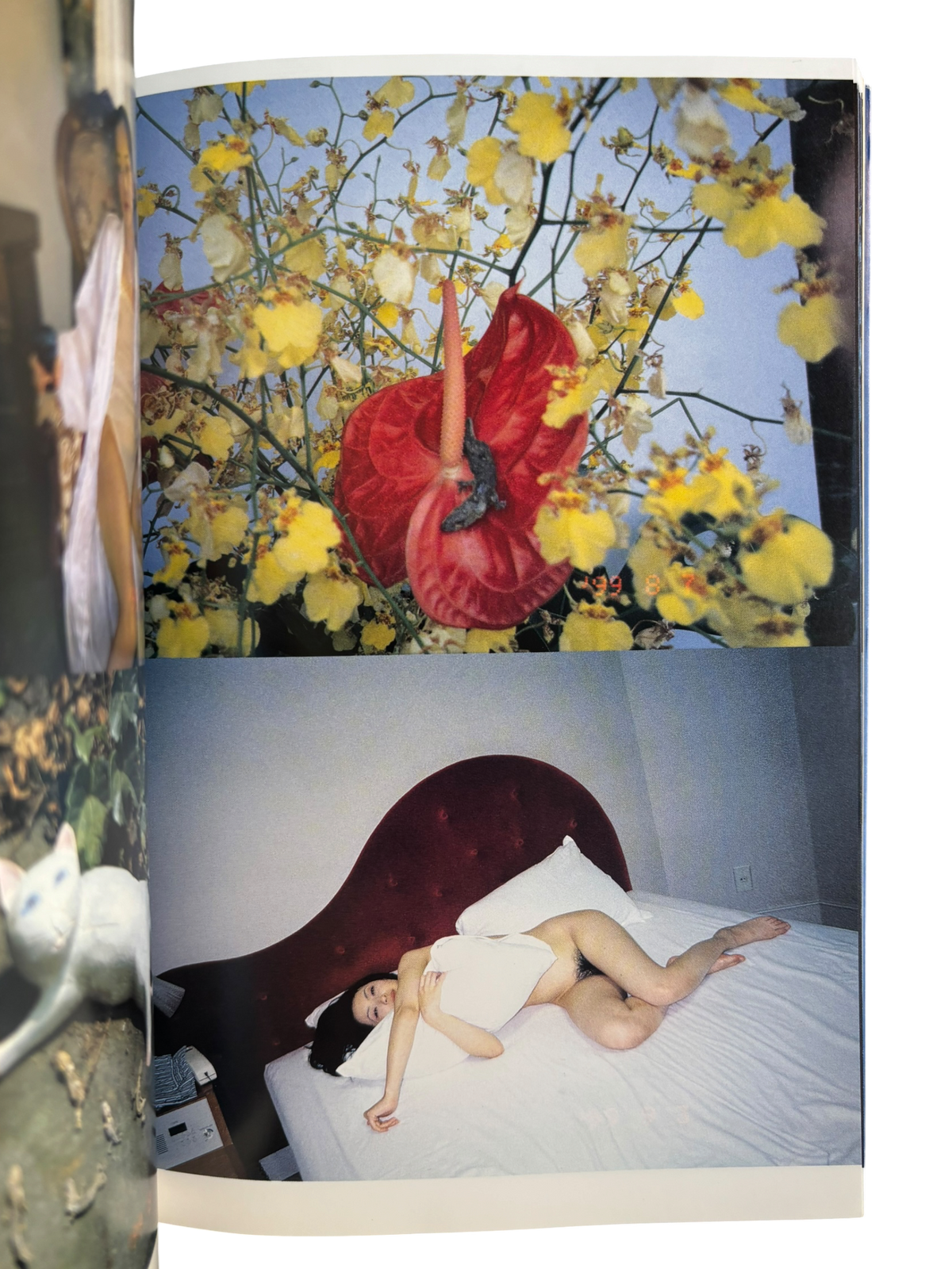 The Works of Nobuyoshi Araki 9: Private Dairy 1999 (1996)