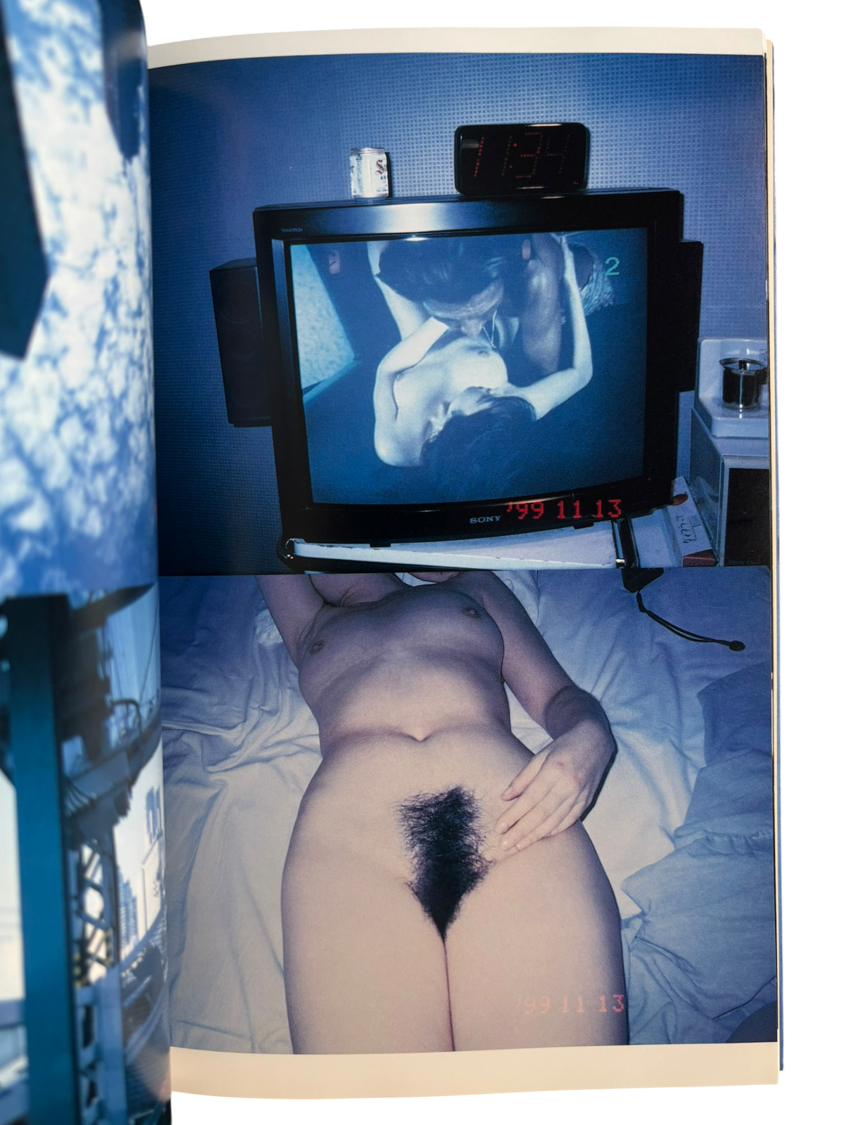 The Works of Nobuyoshi Araki 9: Private Dairy 1999 (1996)