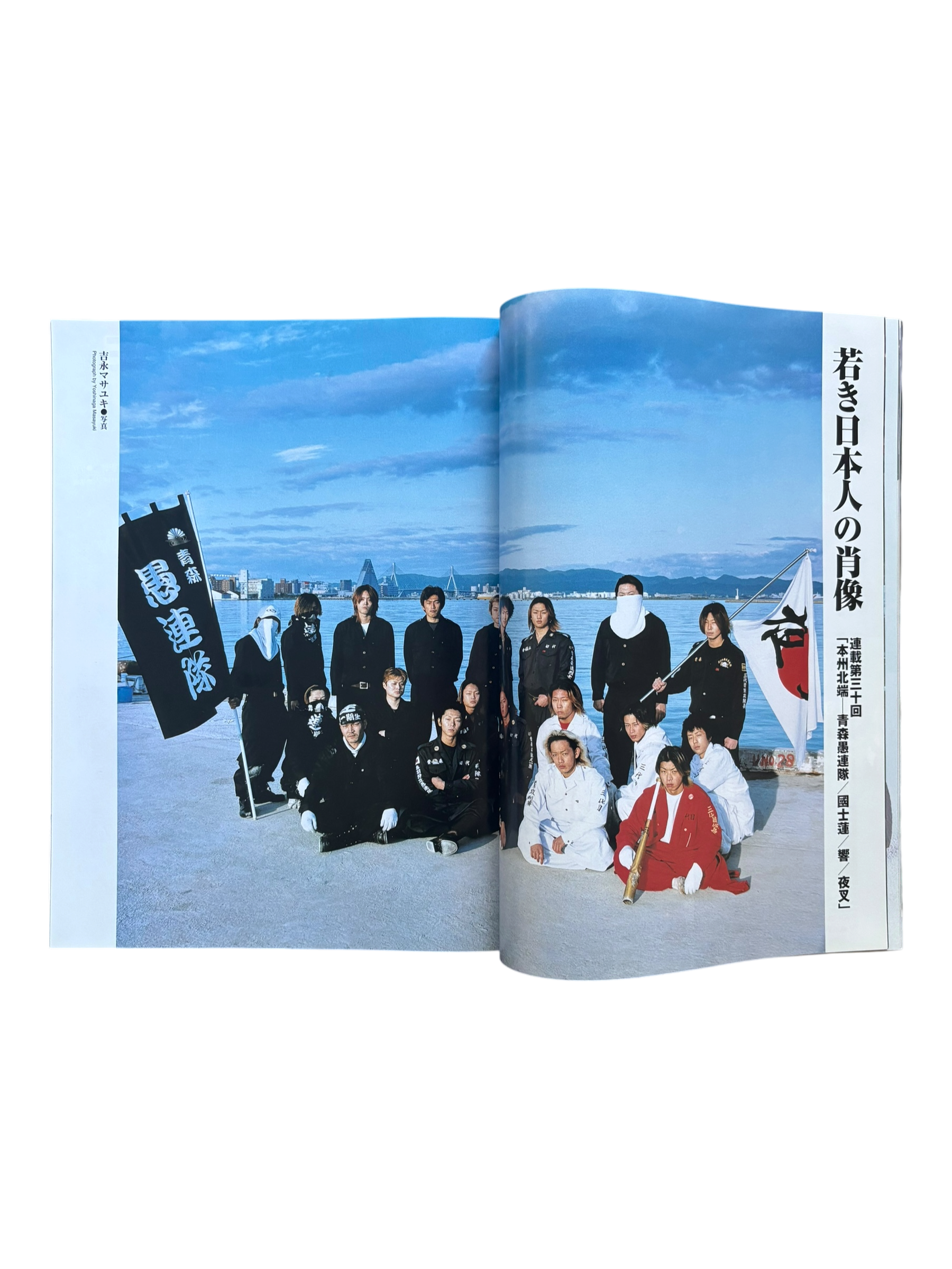 BURST Vol. 43 (2001)