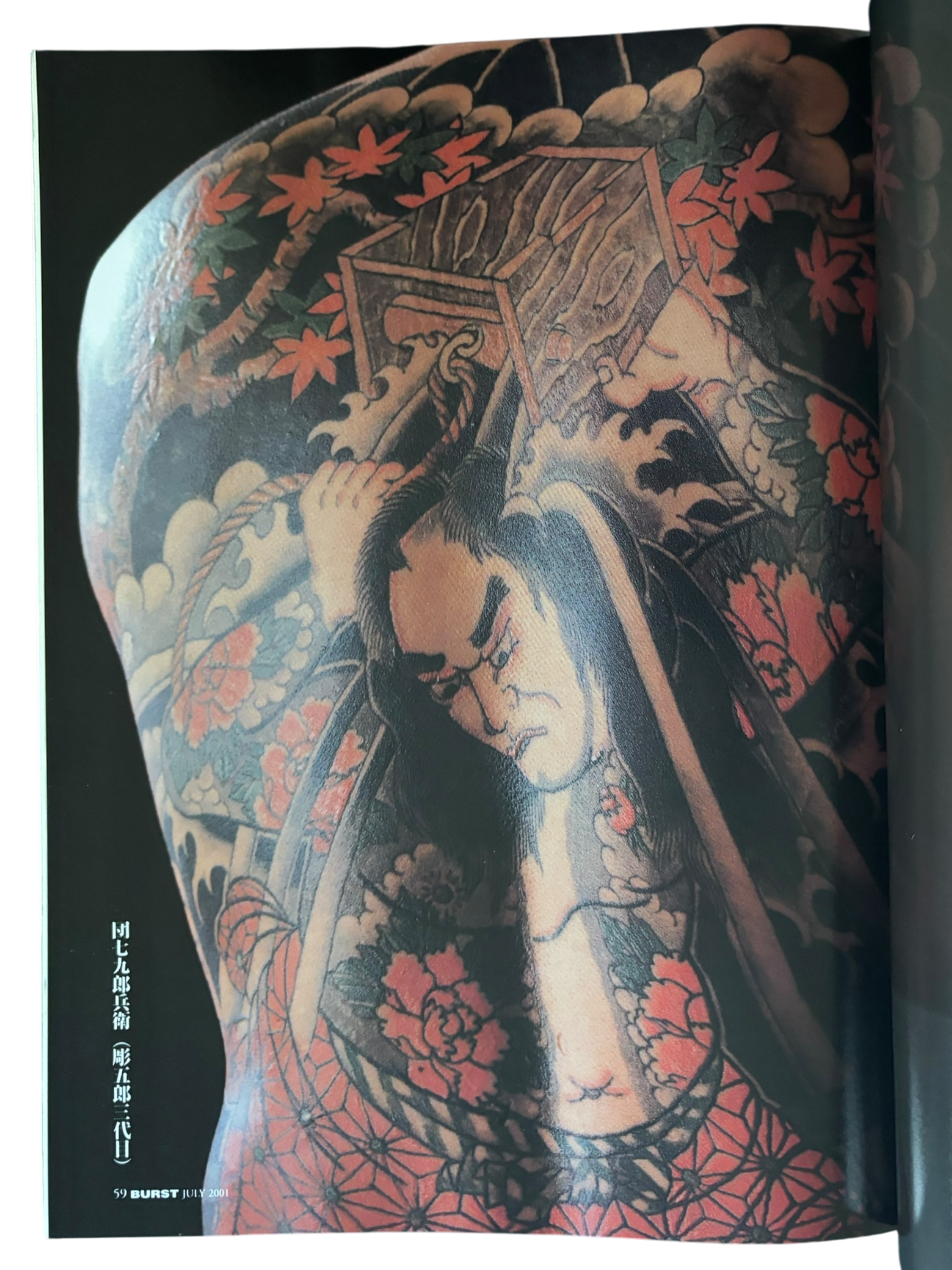 BURST Vol. 43 (2001)