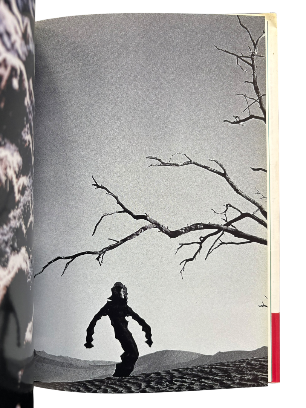 Mémoire de la Mode: Issey Miyake (1998)