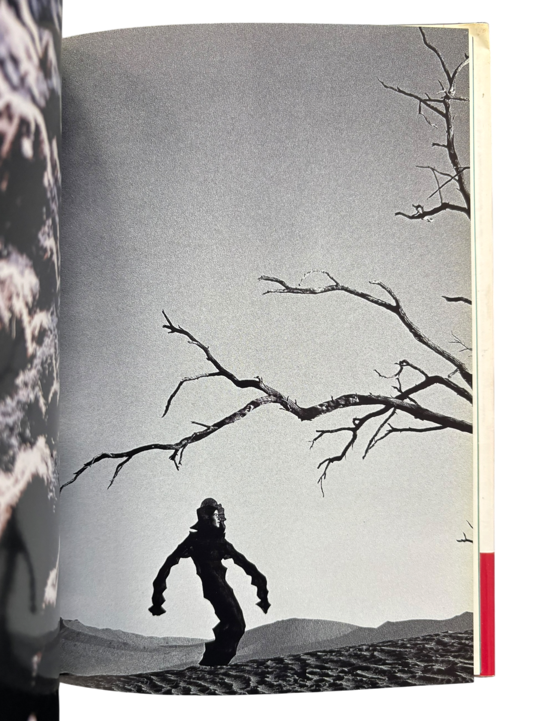 Mémoire de la Mode: Issey Miyake (1998)