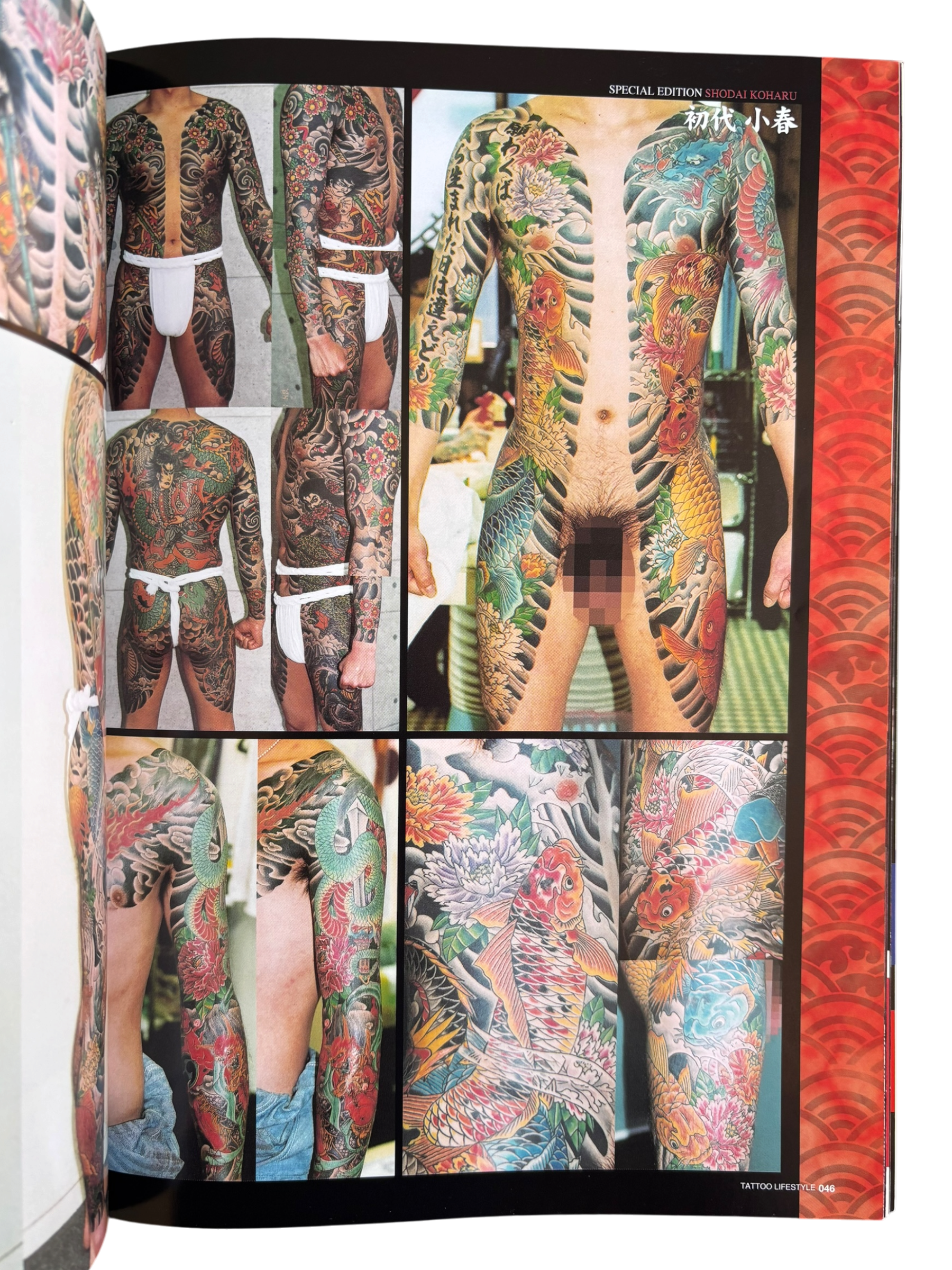 Tattoo Lifestyle Vol. 9 (2006)