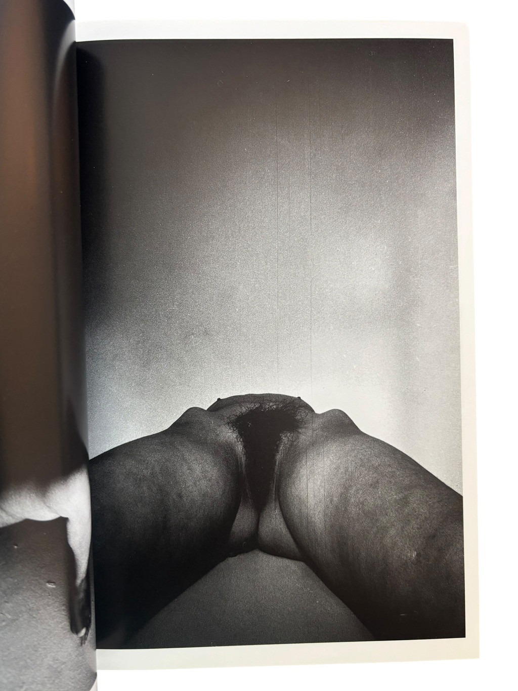 The Works of Nobuyoshi Araki 2: Bodyscapes (1996)