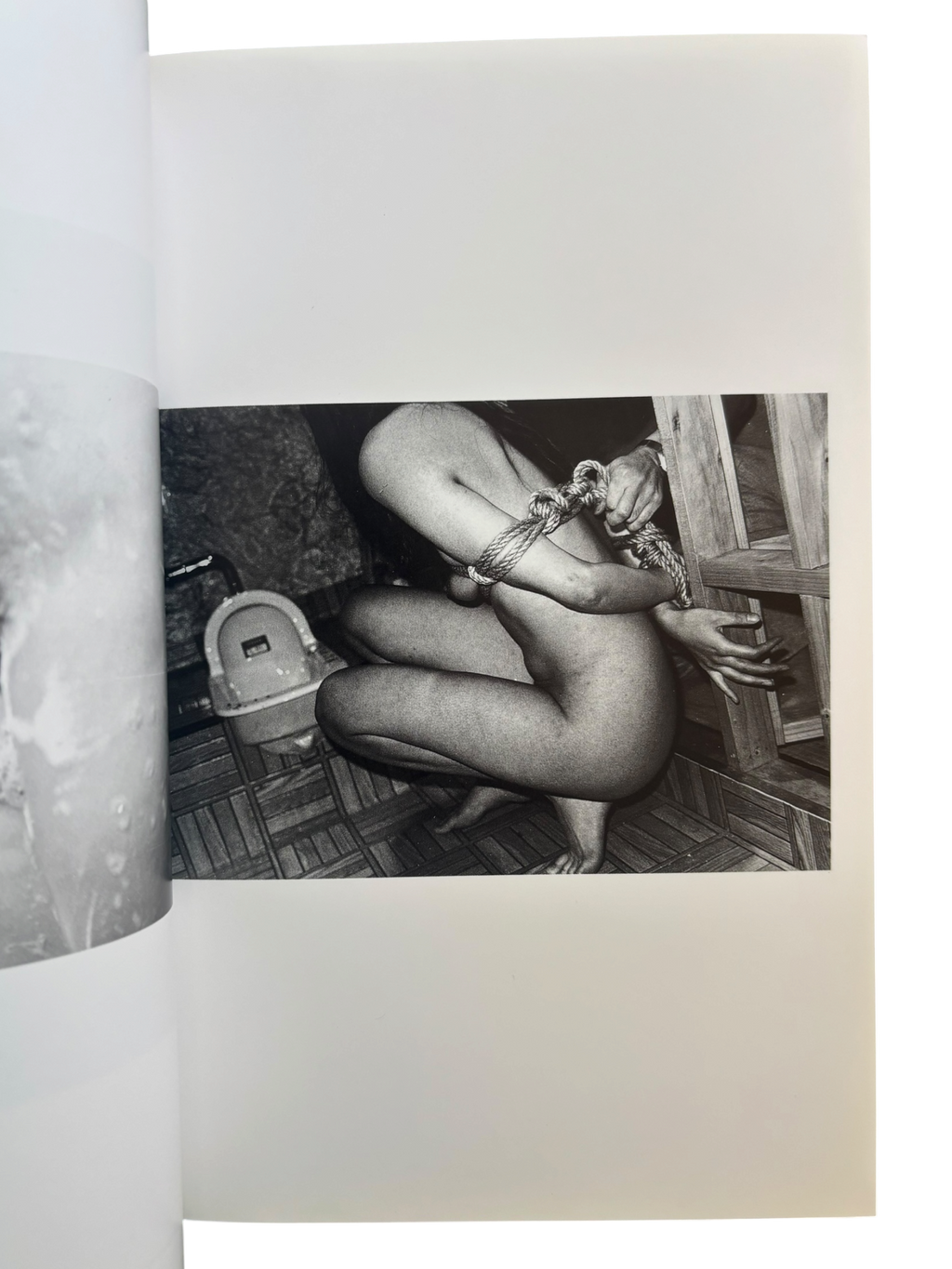 The Works of Nobuyoshi Araki 2: Bodyscapes (1996)
