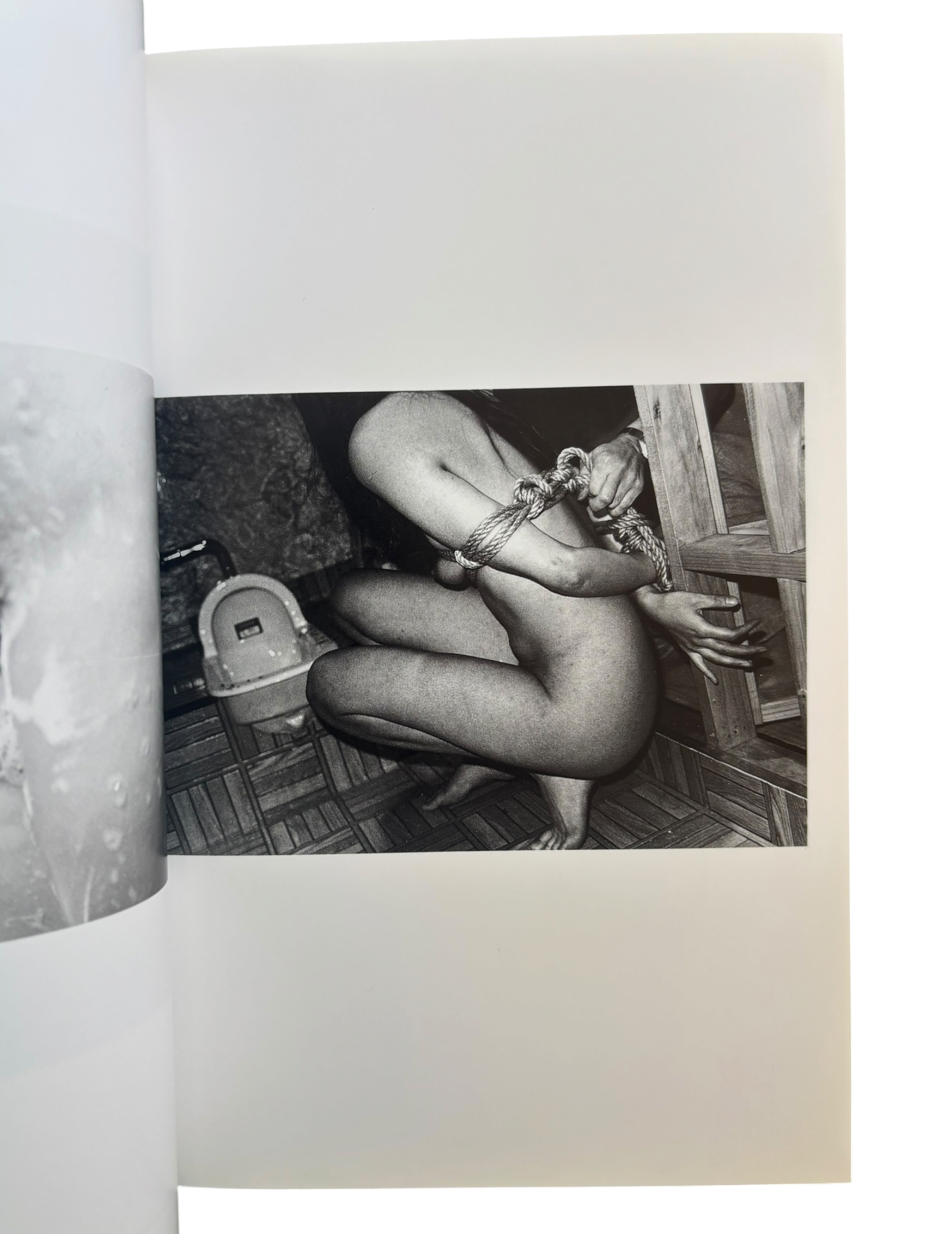 The Works of Nobuyoshi Araki 2: Bodyscapes (1996)