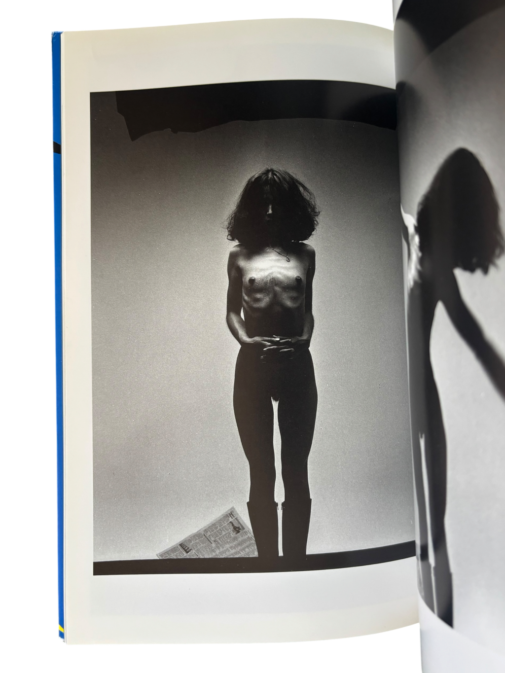 The Works of Nobuyoshi Araki 2: Bodyscapes (1996)