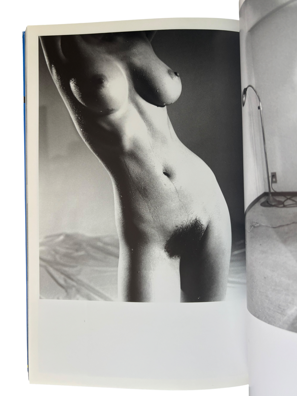 The Works of Nobuyoshi Araki 2: Bodyscapes (1996)