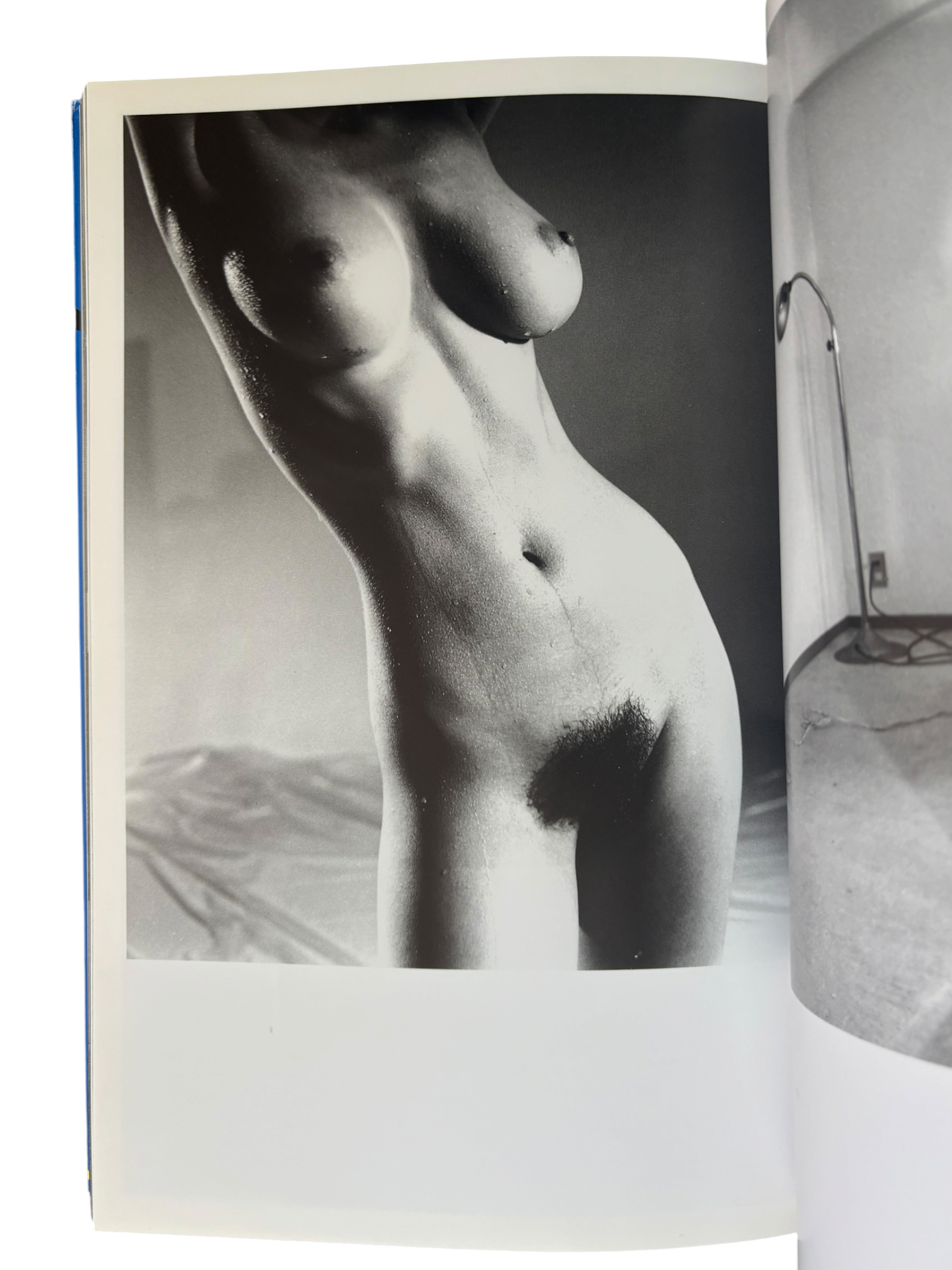 The Works of Nobuyoshi Araki 2: Bodyscapes (1996)