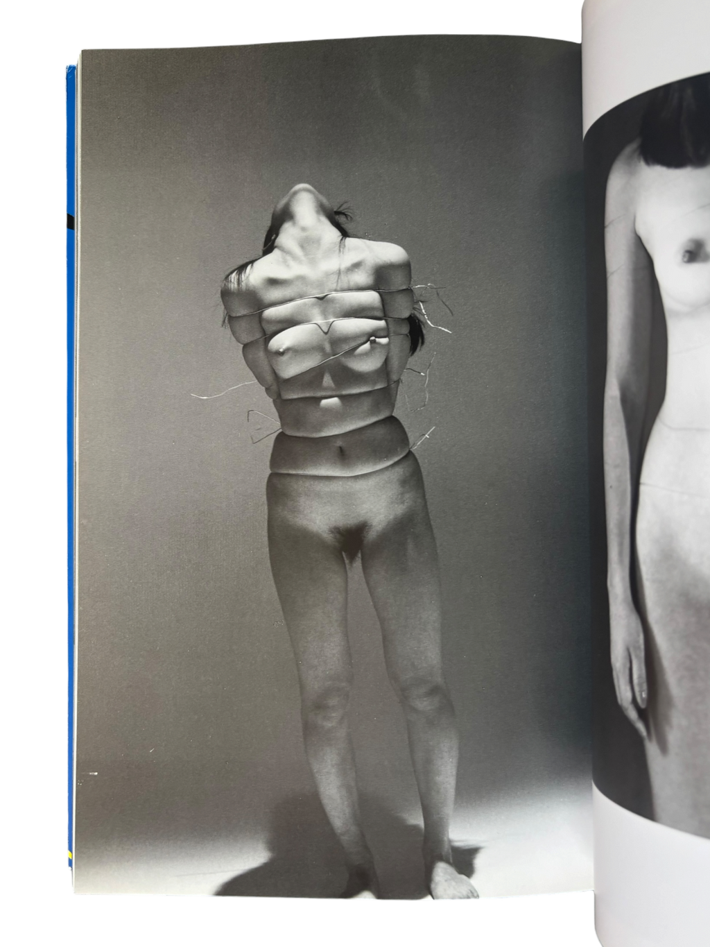 The Works of Nobuyoshi Araki 2: Bodyscapes (1996)