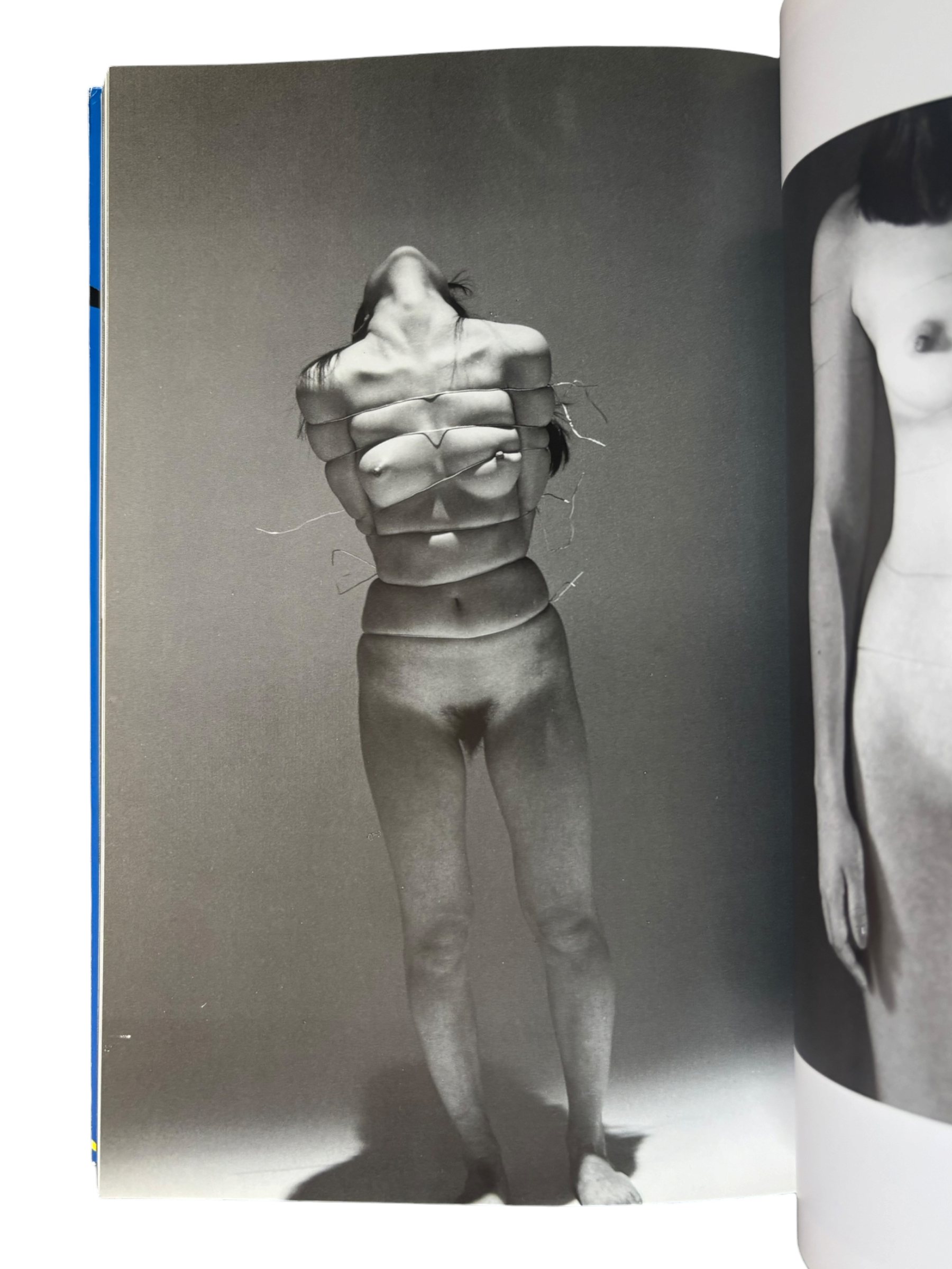 The Works of Nobuyoshi Araki 2: Bodyscapes (1996)