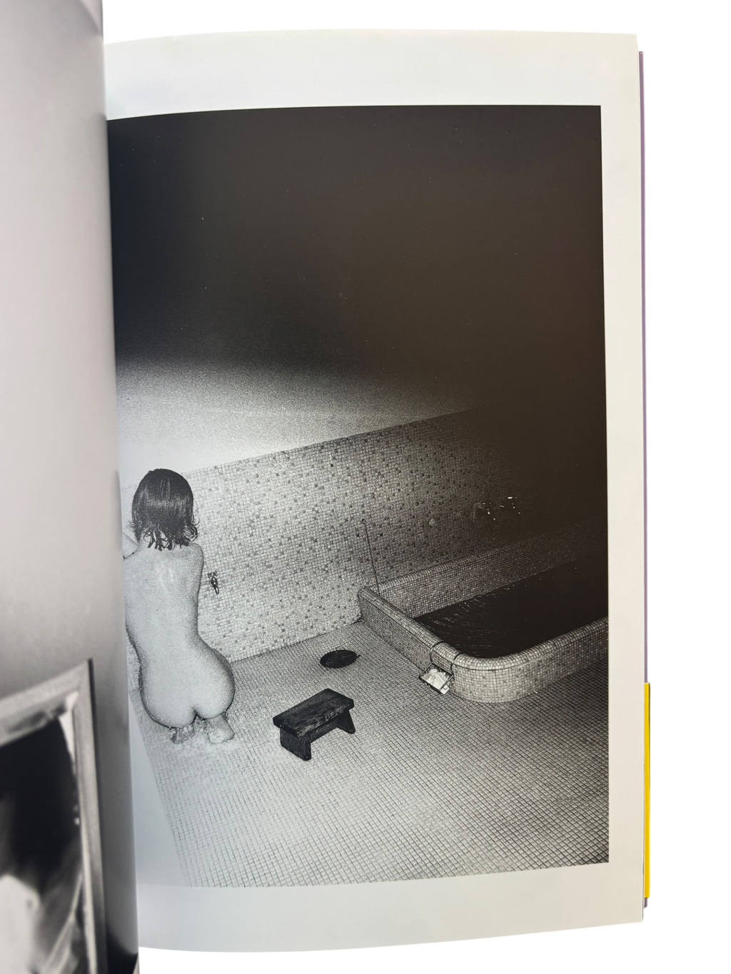 The Works of Nobuyoshi Araki 3: Yoko (2010)