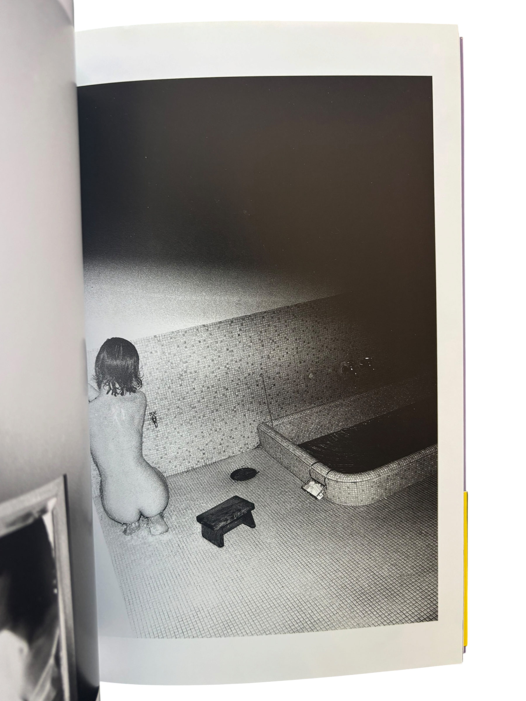 The Works of Nobuyoshi Araki 3: Yoko (2010)