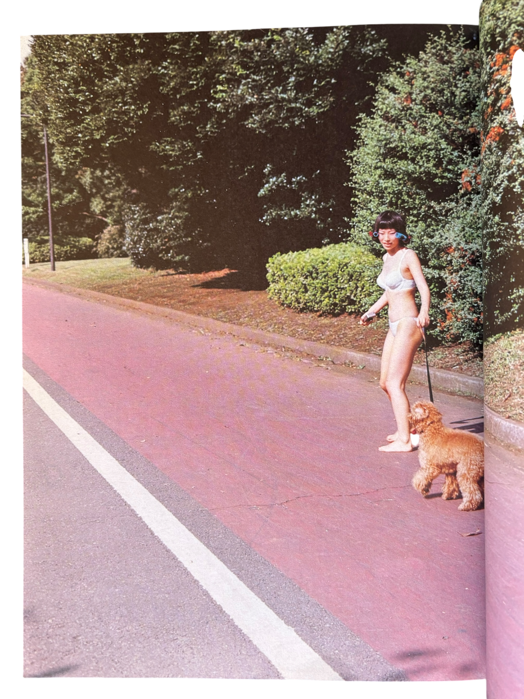 Studio Voice Vol. 243 (1996)