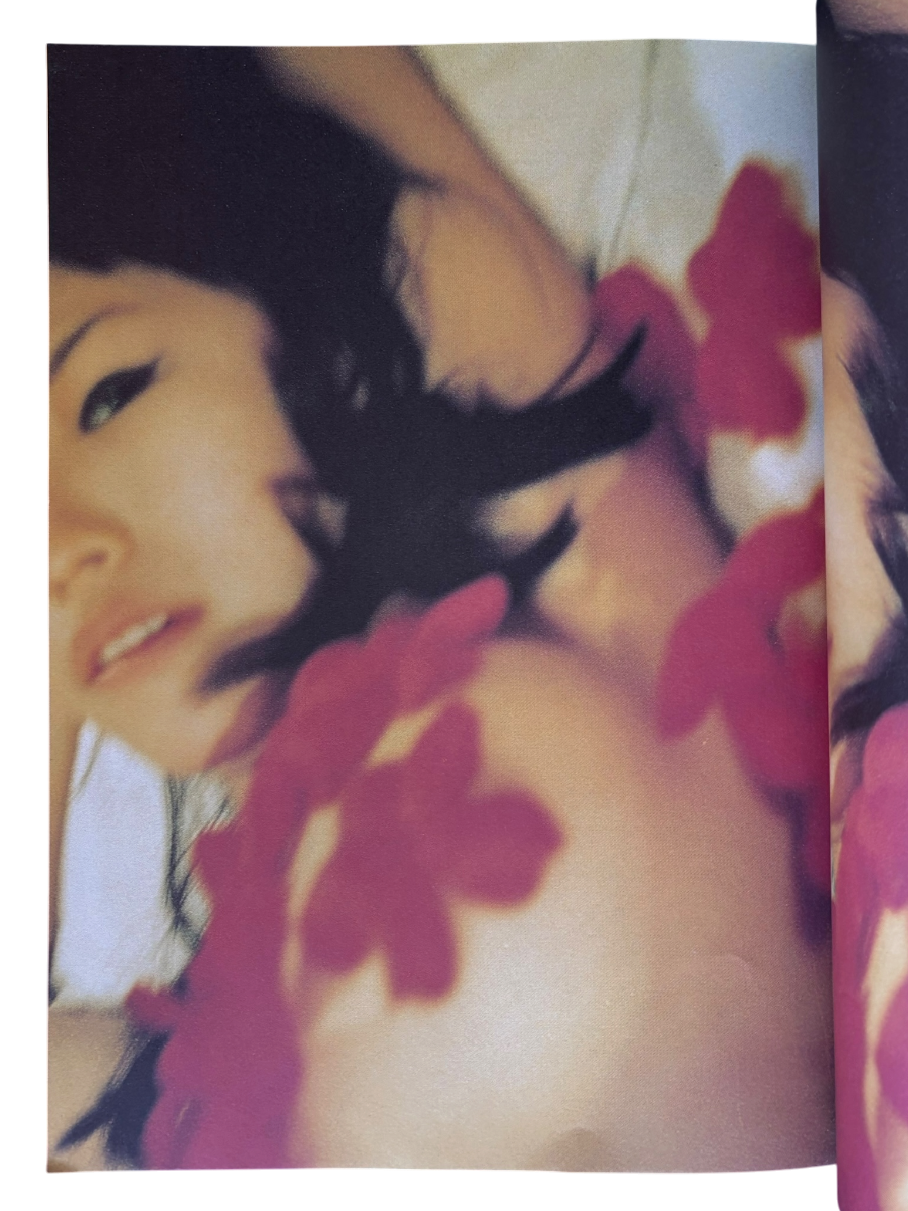 Studio Voice Vol. 243 (1996)
