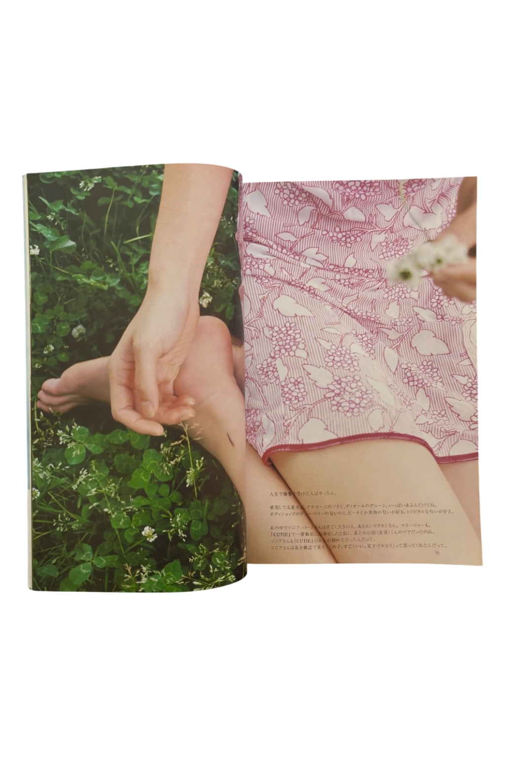 Japanese Beauty Hiromix (1997)