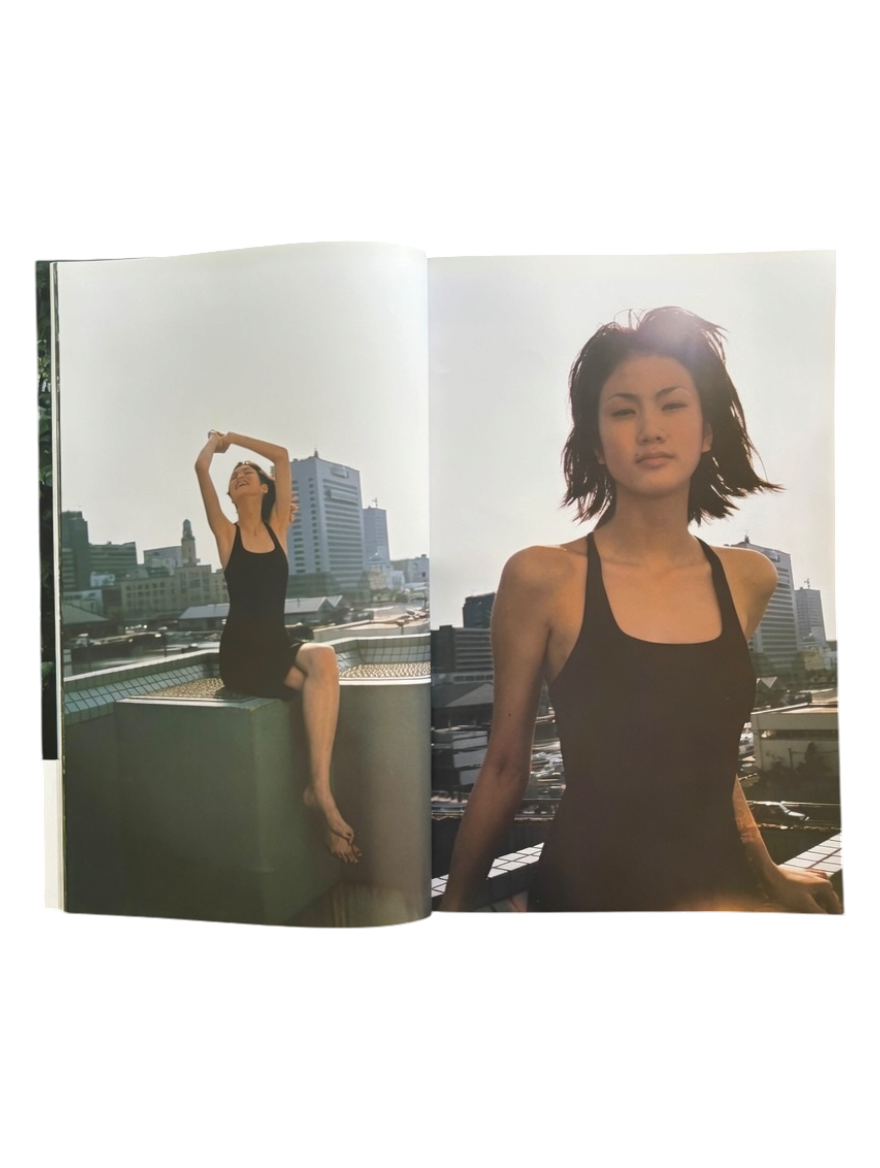 Japanese Beauty Hiromix (1997)