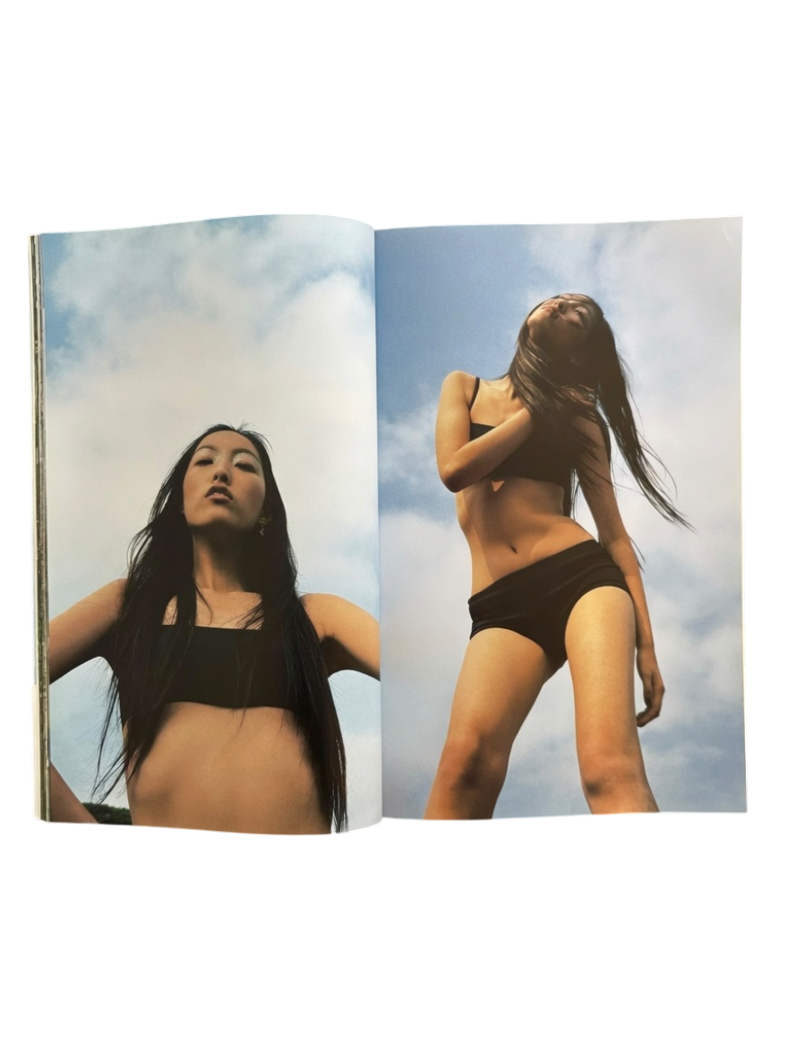 Japanese Beauty Hiromix (1997)