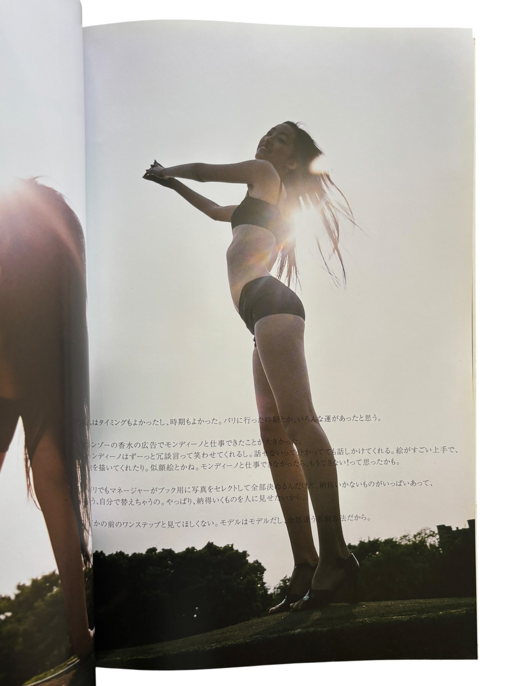 Japanese Beauty Hiromix (1997)