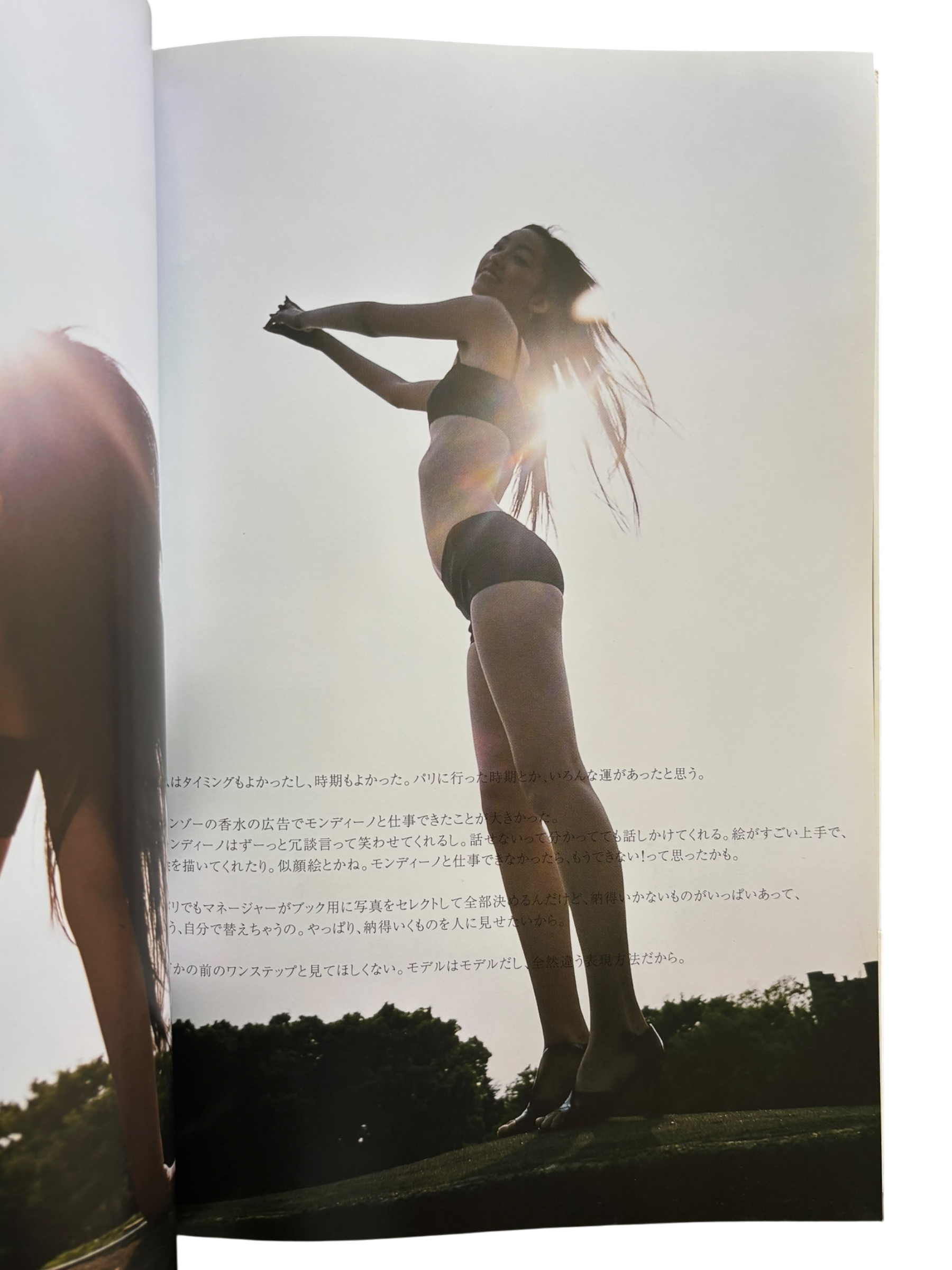 Japanese Beauty Hiromix (1997)