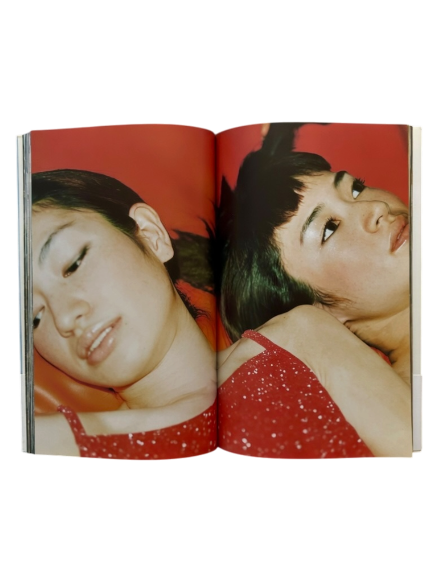 Japanese Beauty Hiromix (1997)