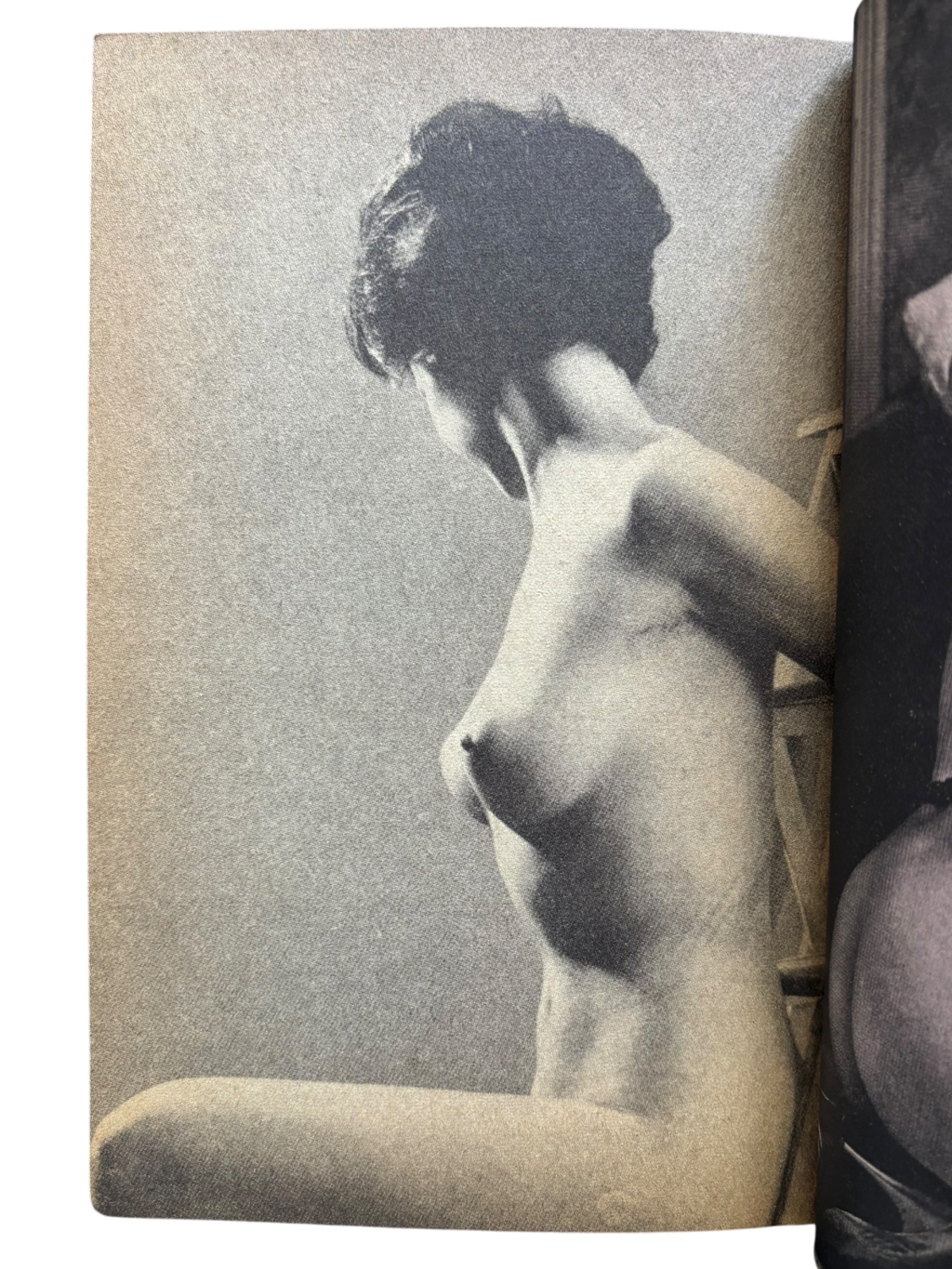 The Nude: Paradise of Pin-Up Girls (1984)