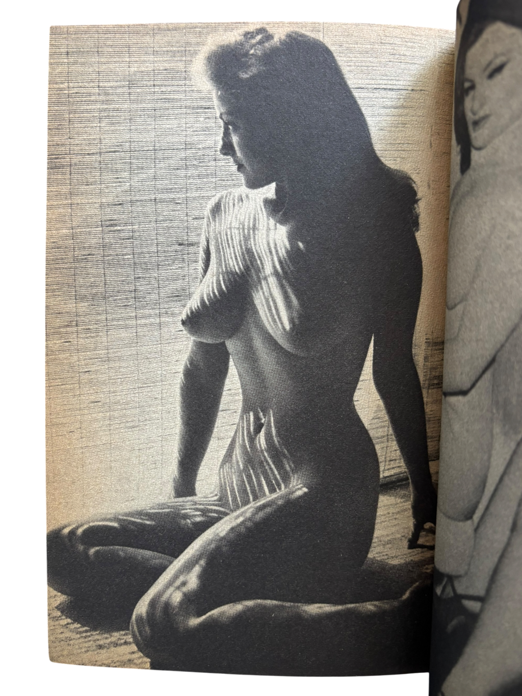 The Nude: Paradise of Pin-Up Girls (1984)