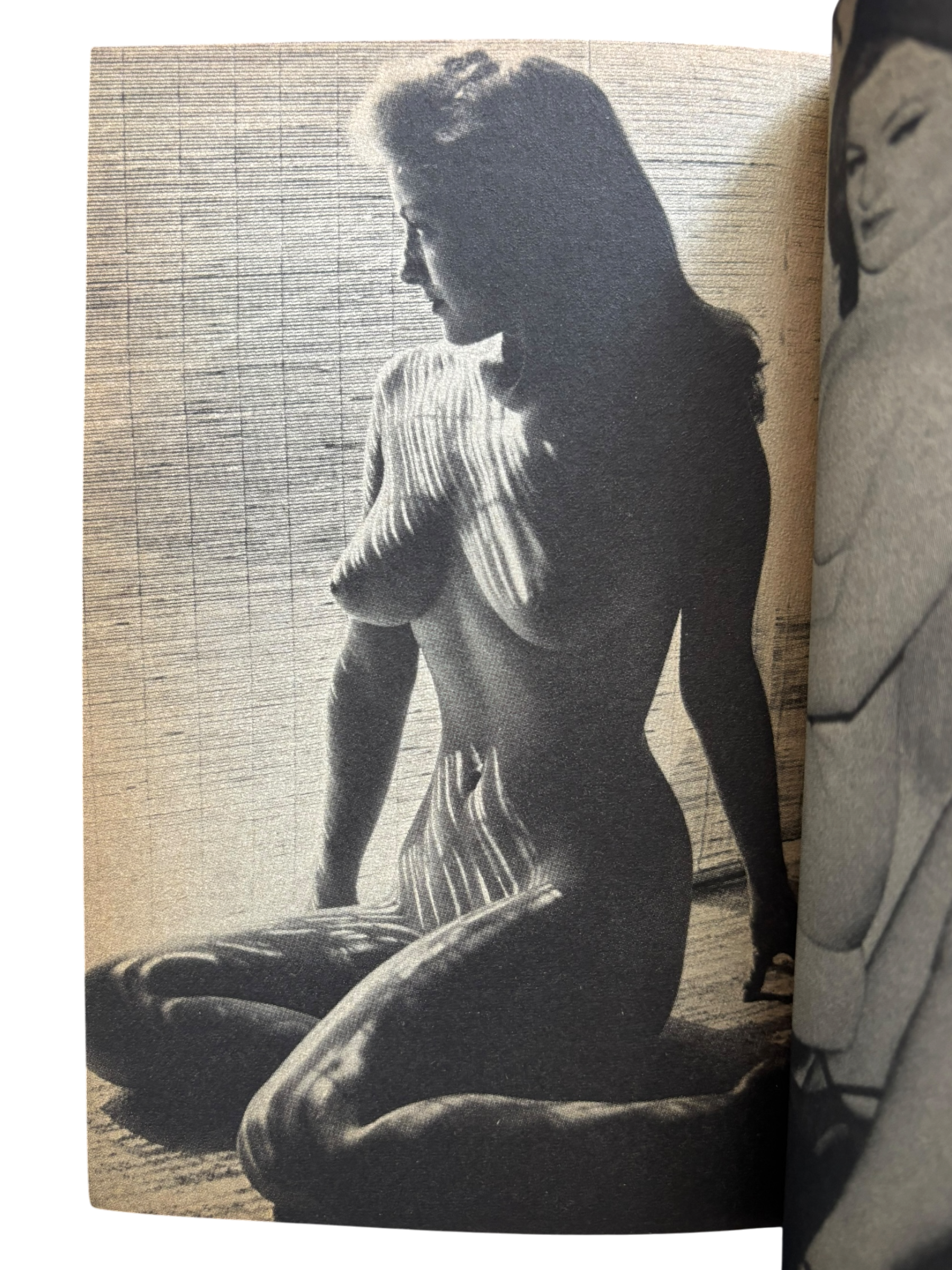 The Nude: Paradise of Pin-Up Girls (1984)