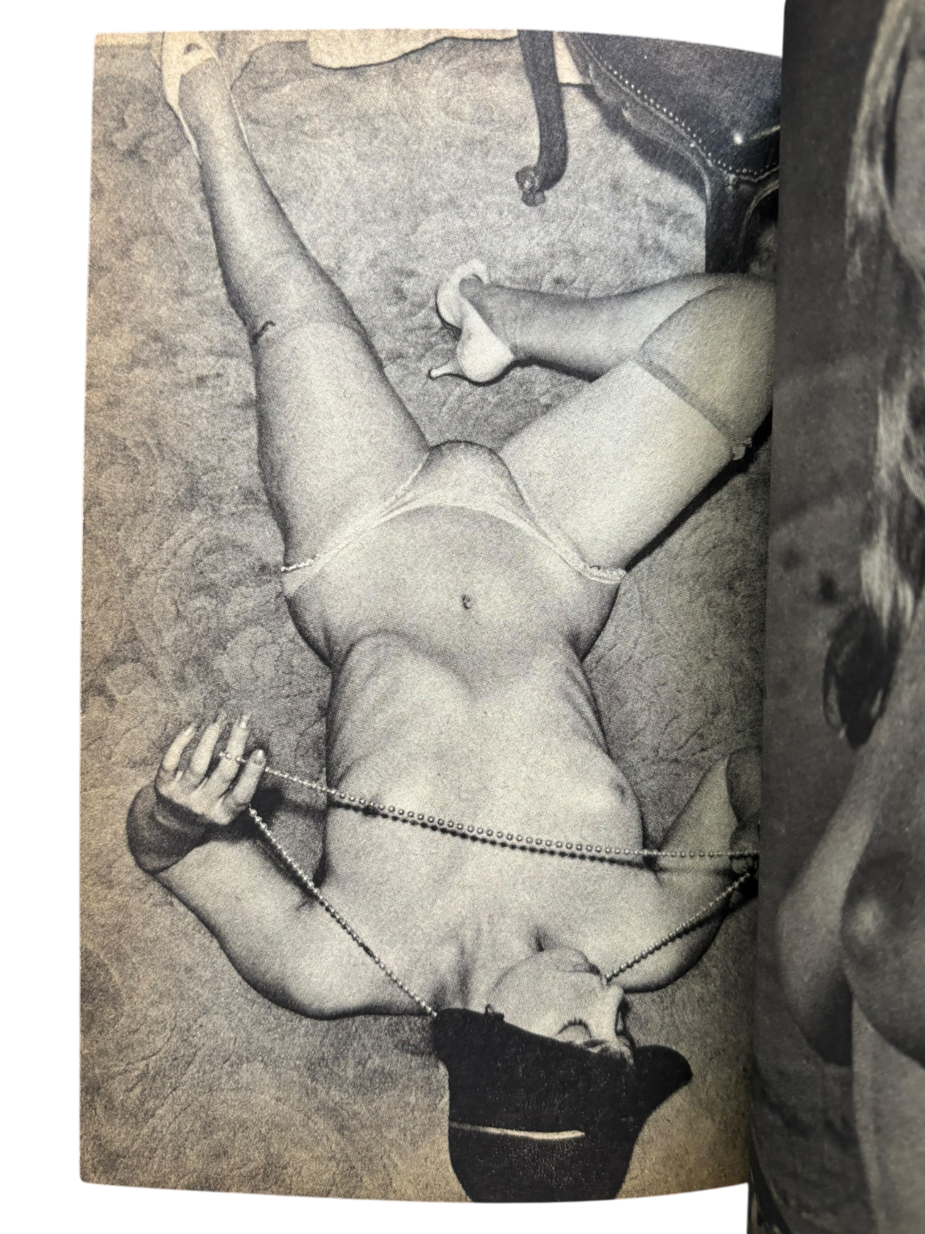 The Nude: Paradise of Pin-Up Girls (1984)