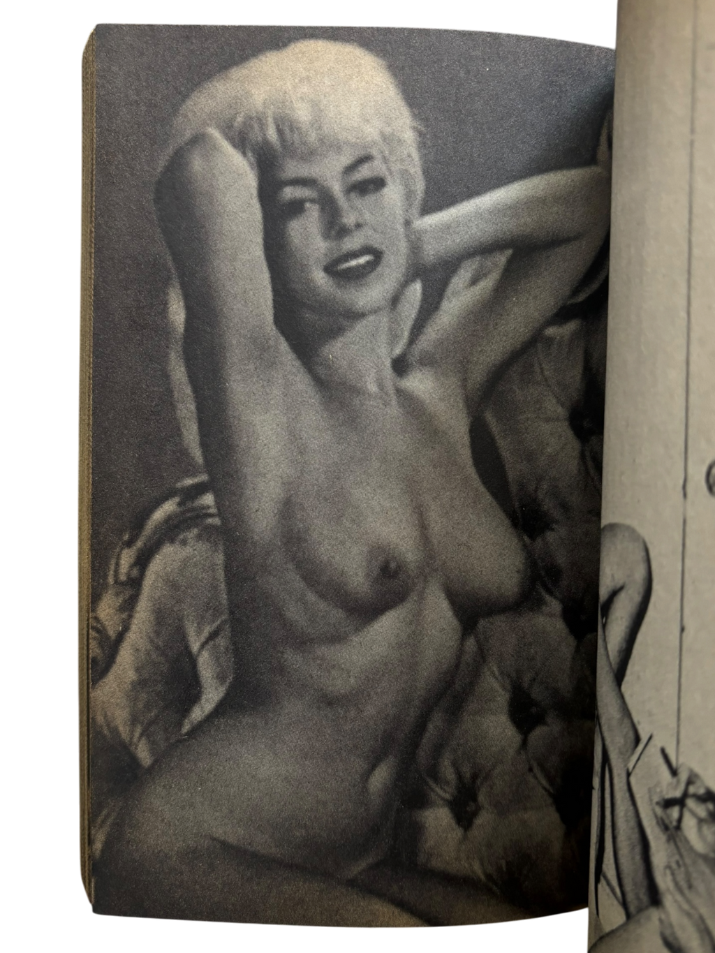 The Nude: Paradise of Pin-Up Girls (1984)