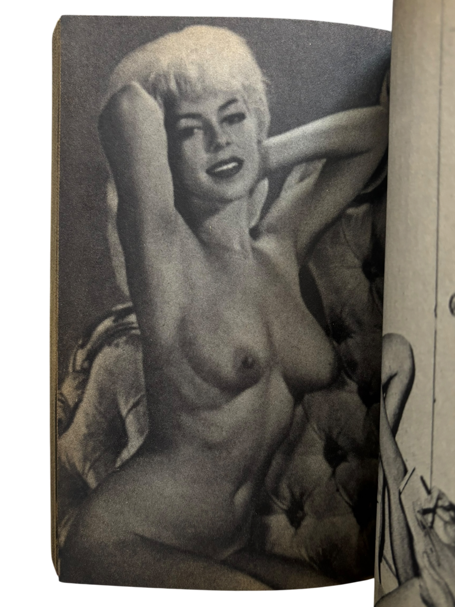 The Nude: Paradise of Pin-Up Girls (1984)