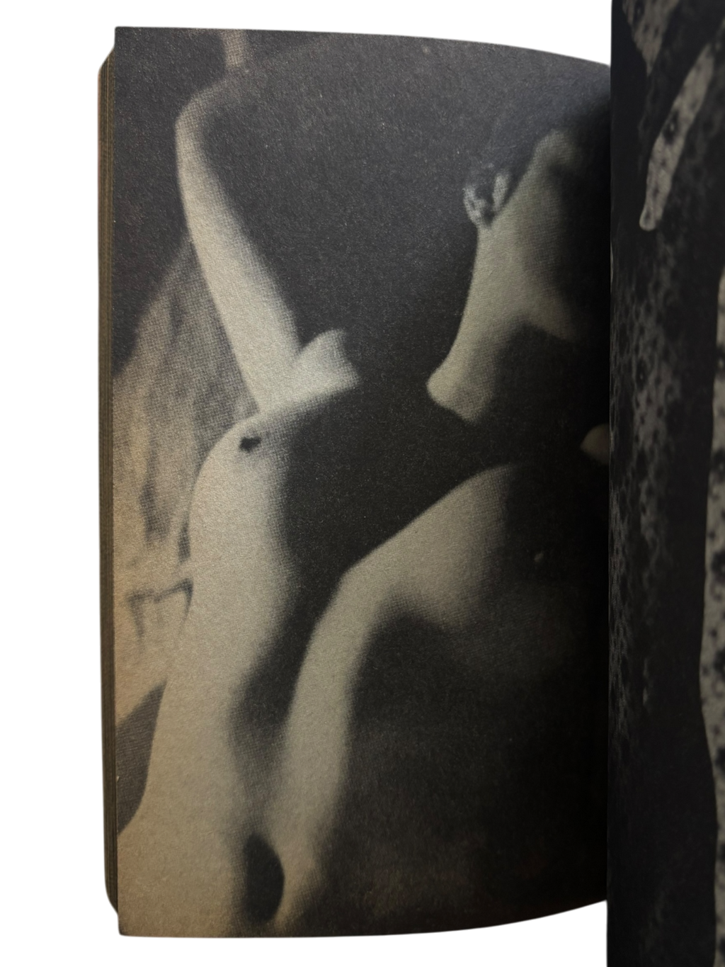 The Nude: Paradise of Pin-Up Girls (1984)