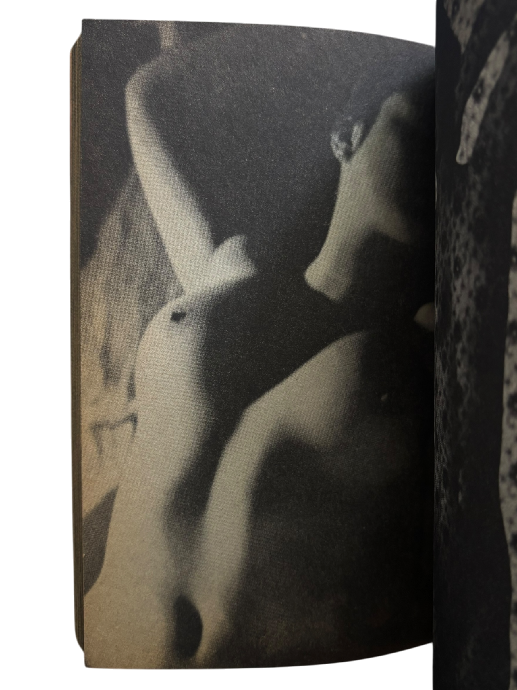 The Nude: Paradise of Pin-Up Girls (1984)