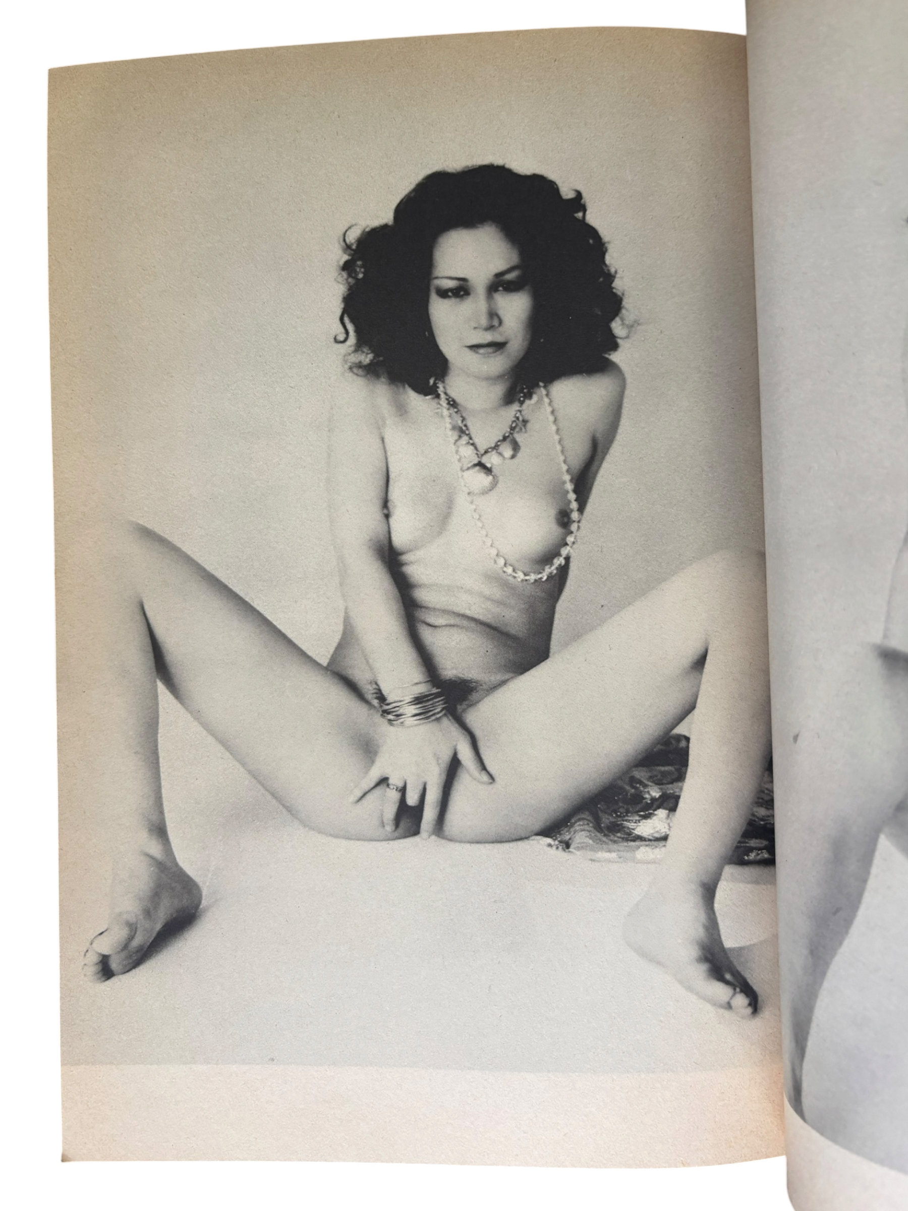 Uwasa no Shinso No. 1: The Truth About Nobuyoshi Araki (1982)