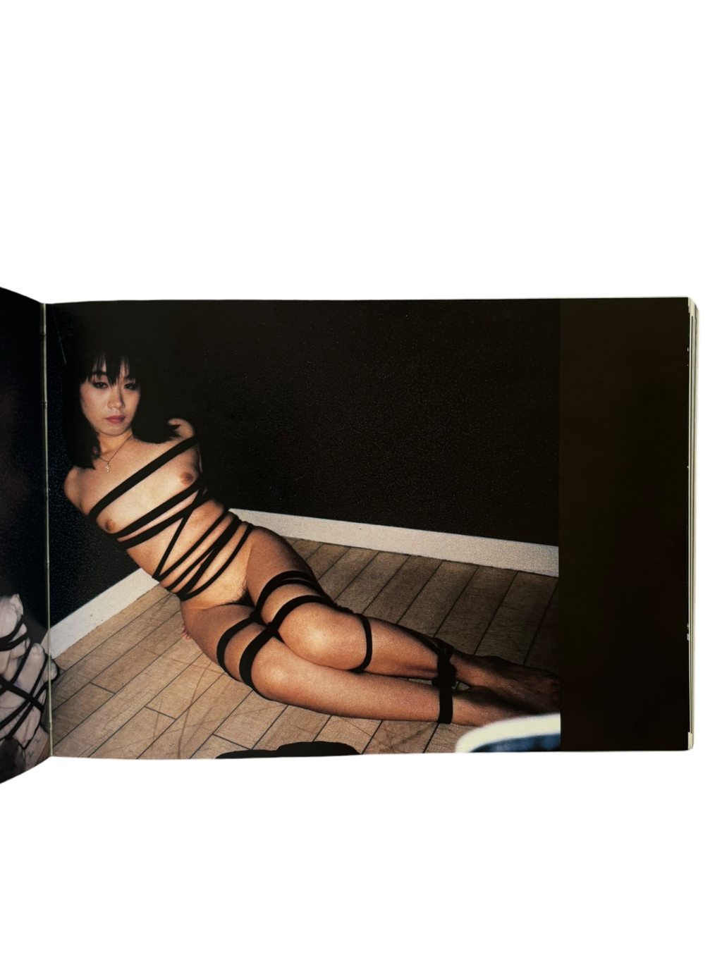 Araki in Wein (1998)