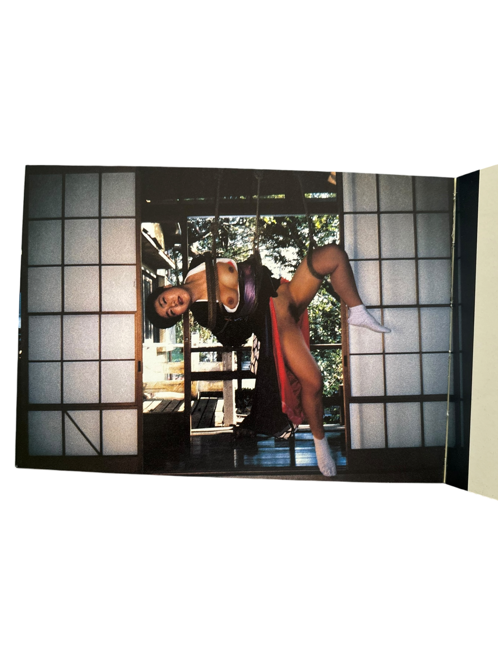 Araki in Wein (1998)