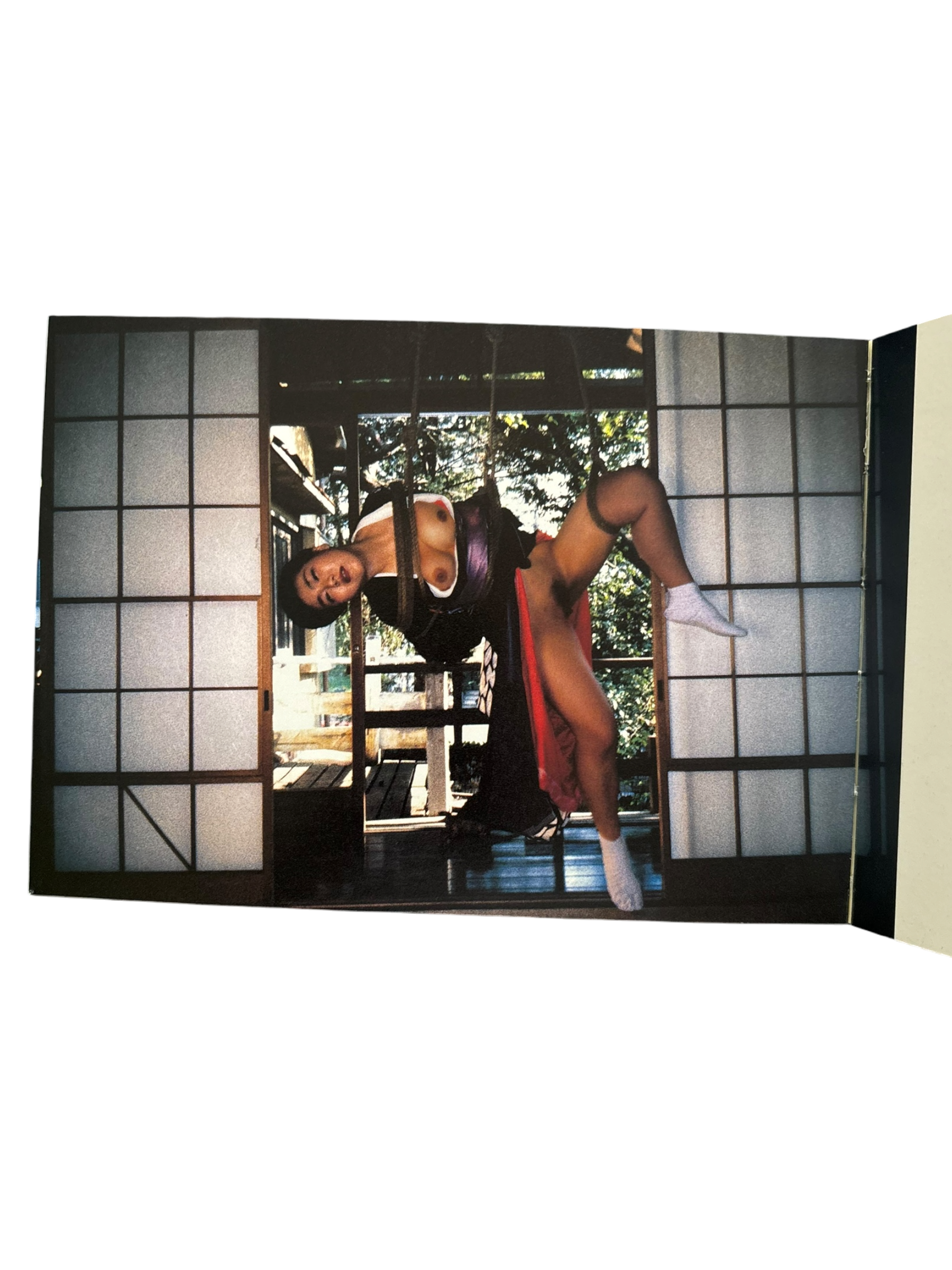 Araki in Wein (1998)