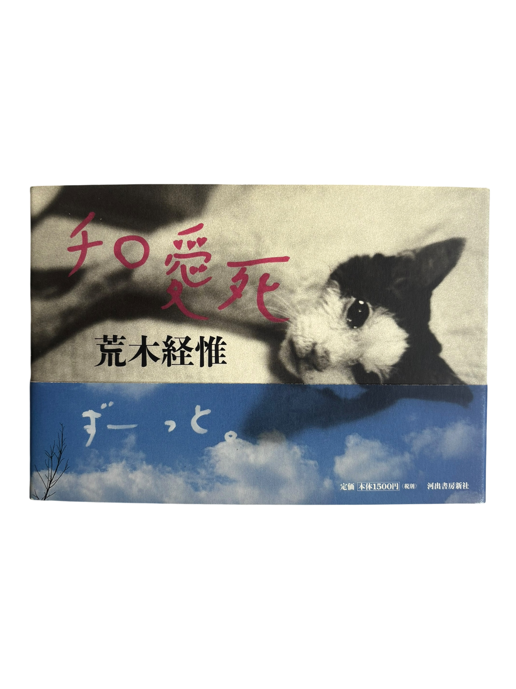 Chiro, Love and Death (2010)